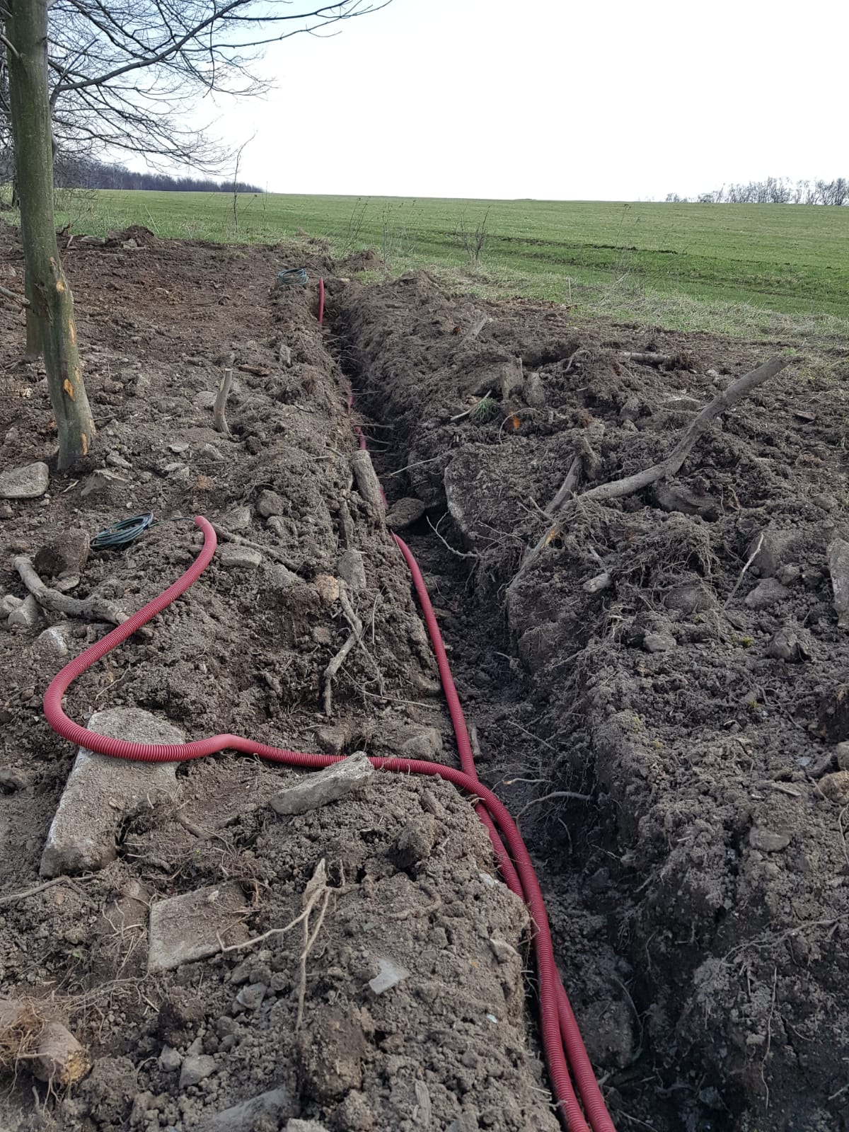 Zemní práce Jan Berg foto 4