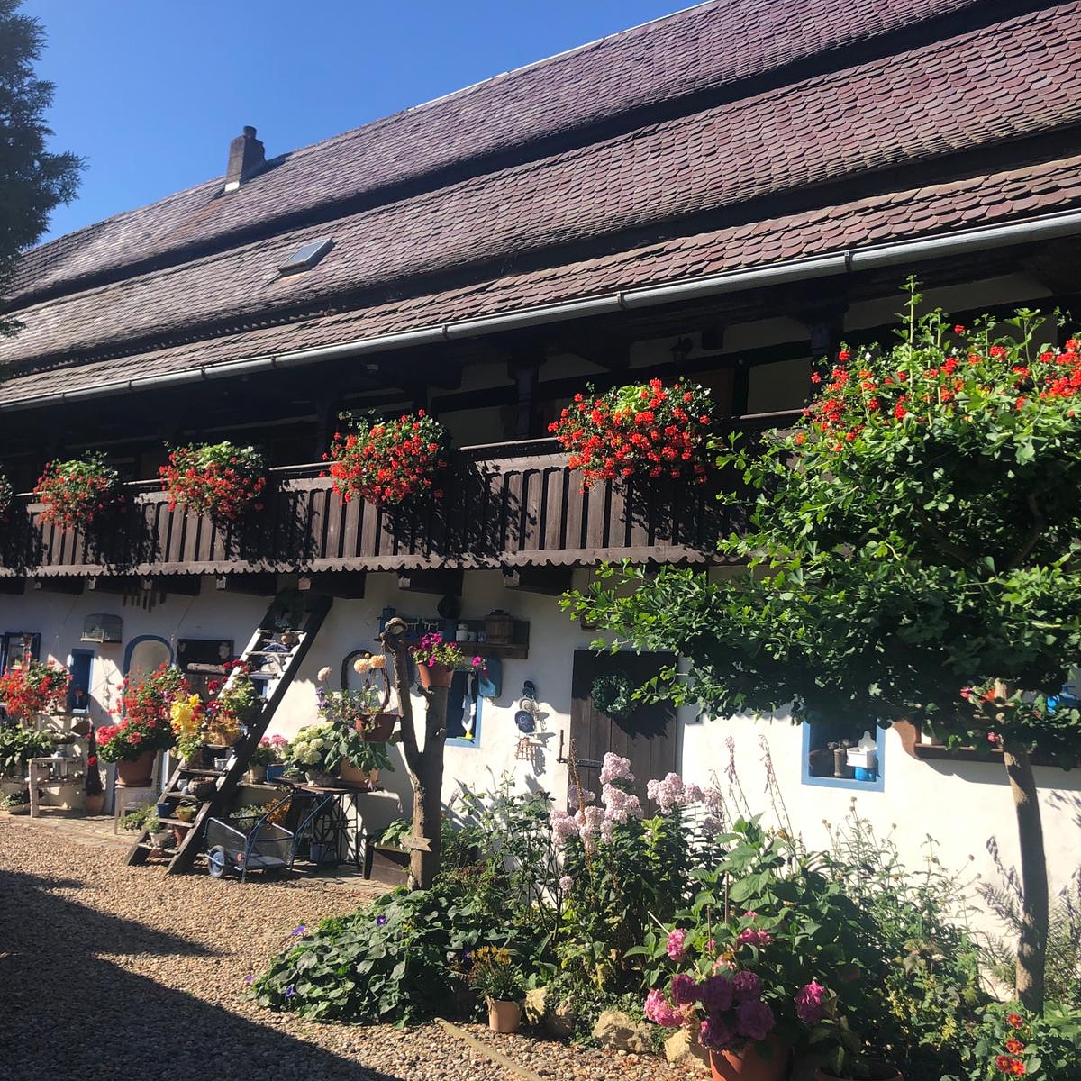 Penzion Roubenka-Sedlo foto 2