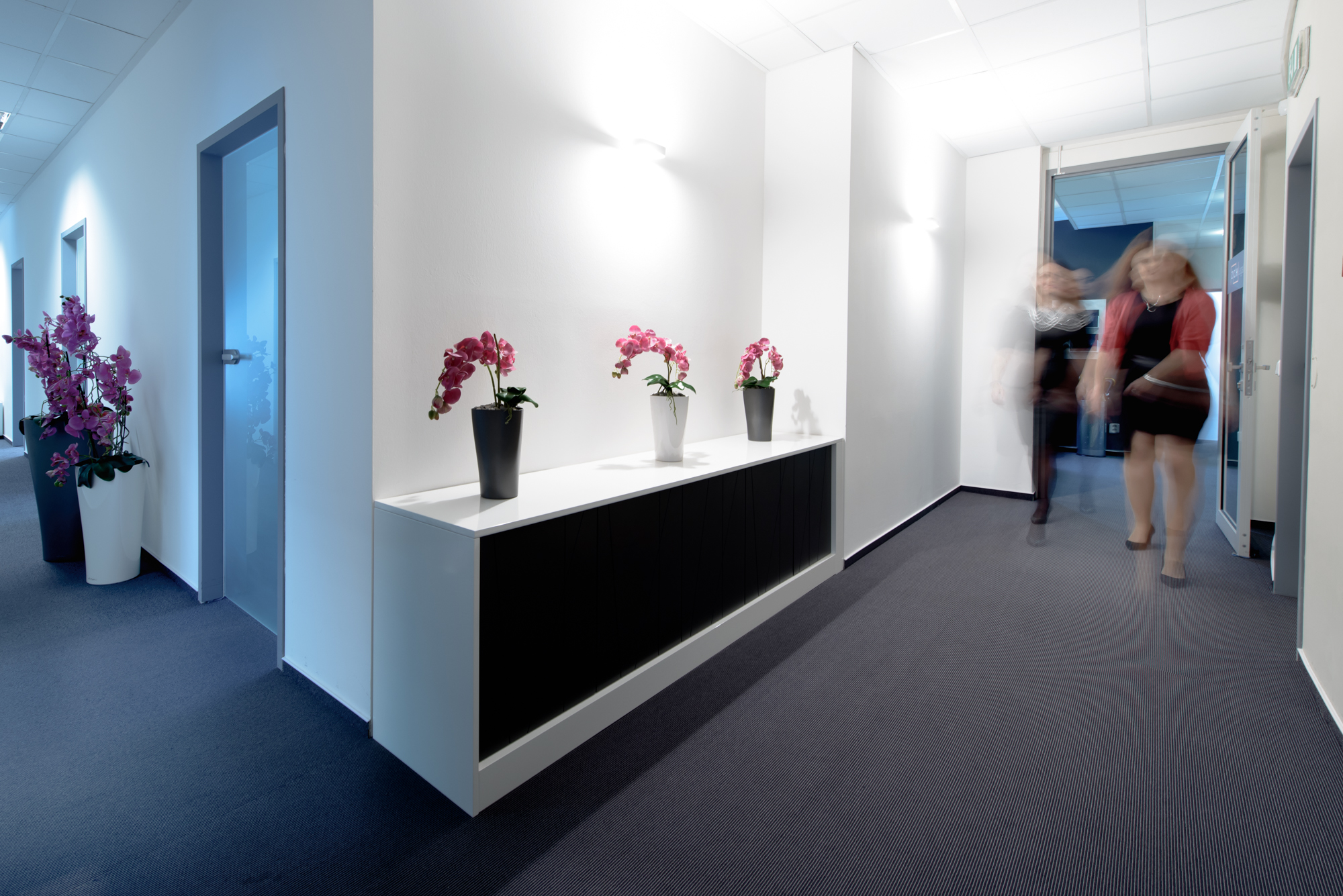 Hladká Zilvarová Jana, Mgr., advokát foto 4