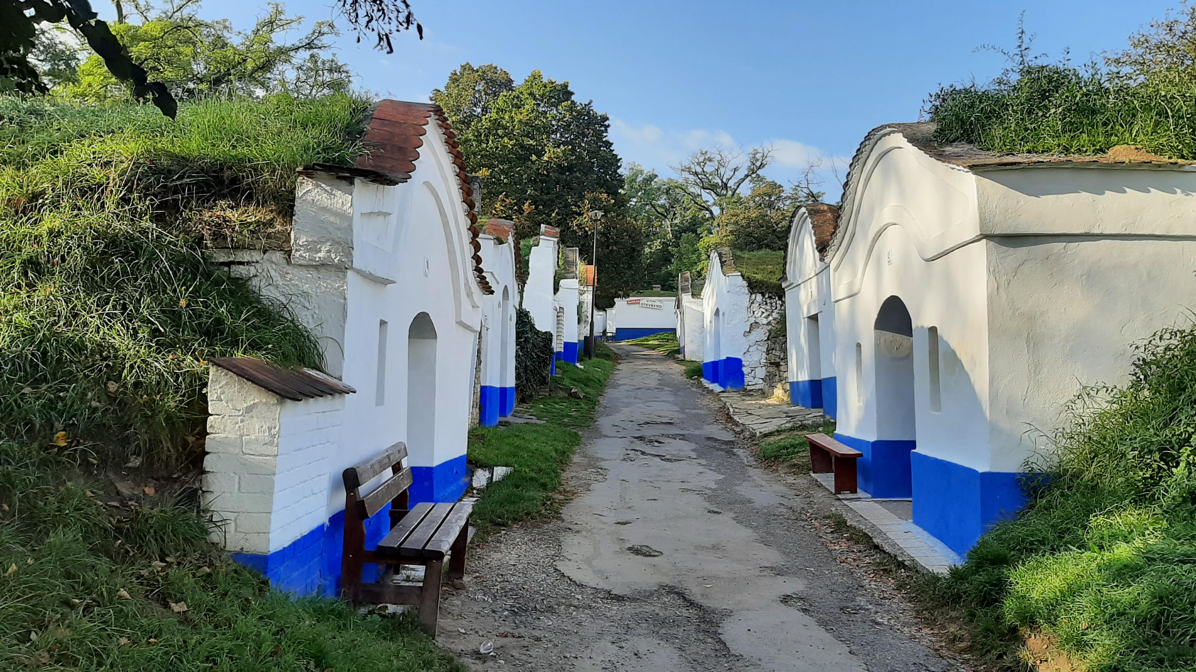 Vinařství Tomanovský foto 4