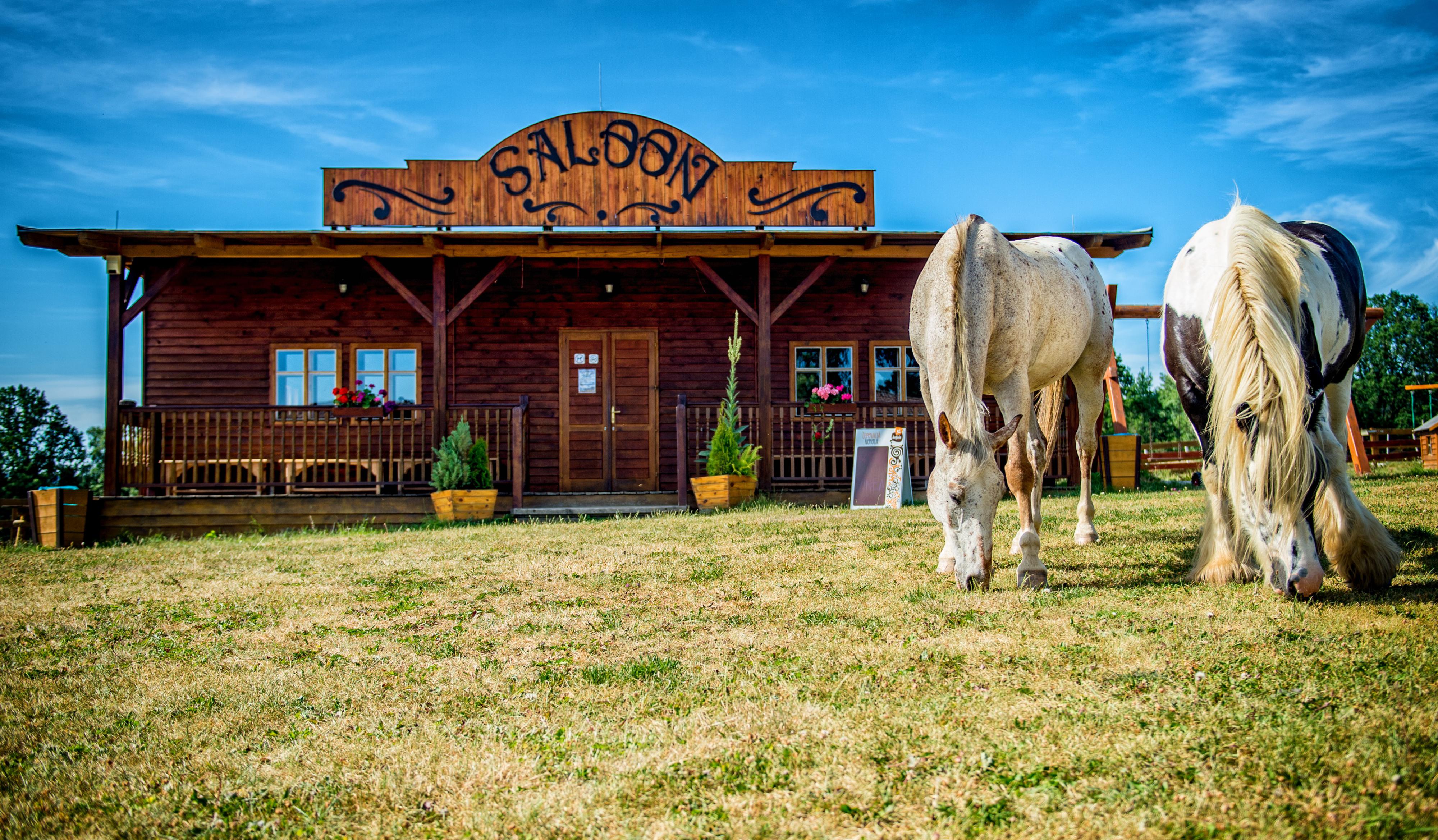 Ranch Eldorado foto 6