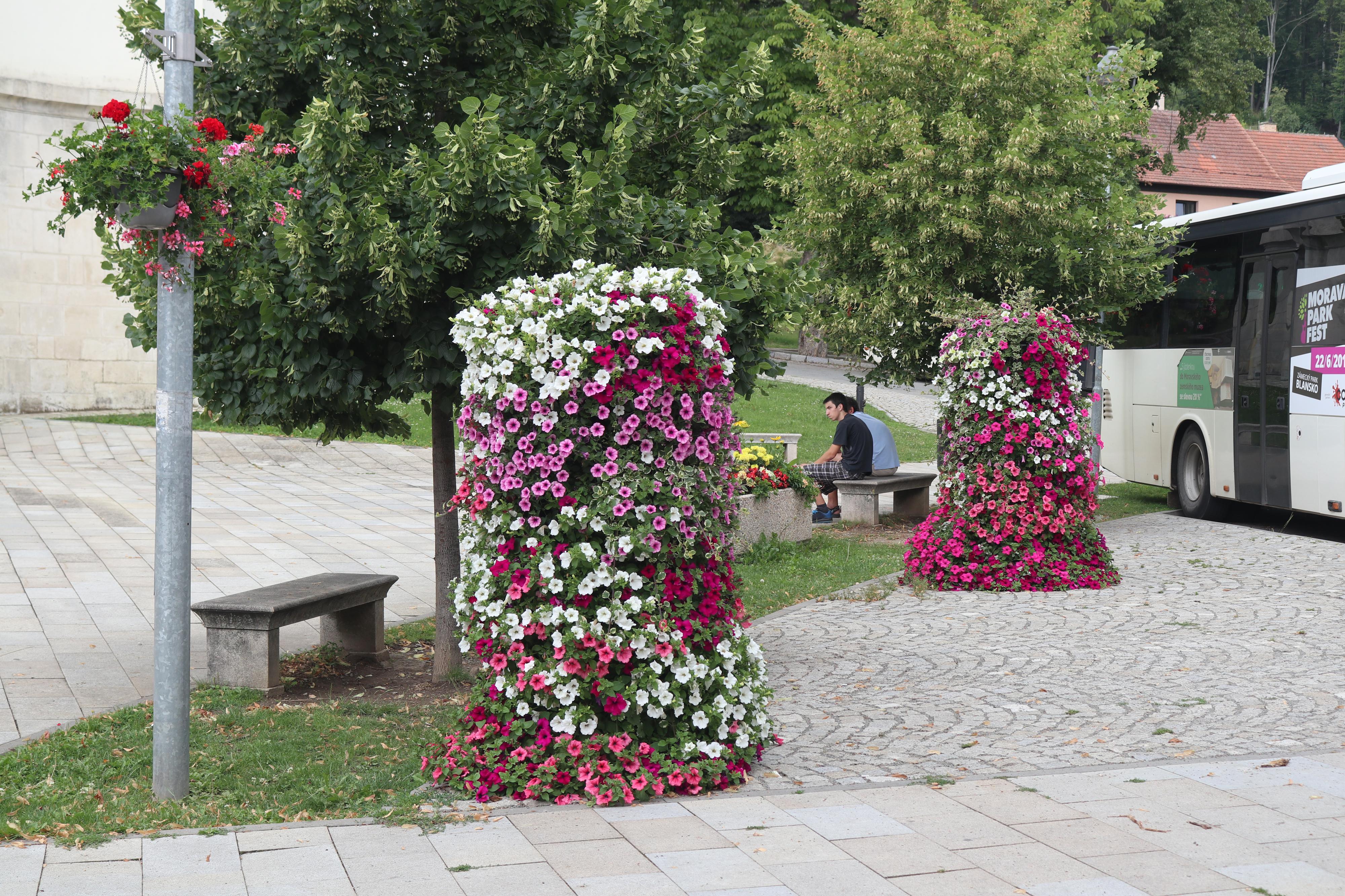Zahradnictví Ing. Martin Chytrý foto 2