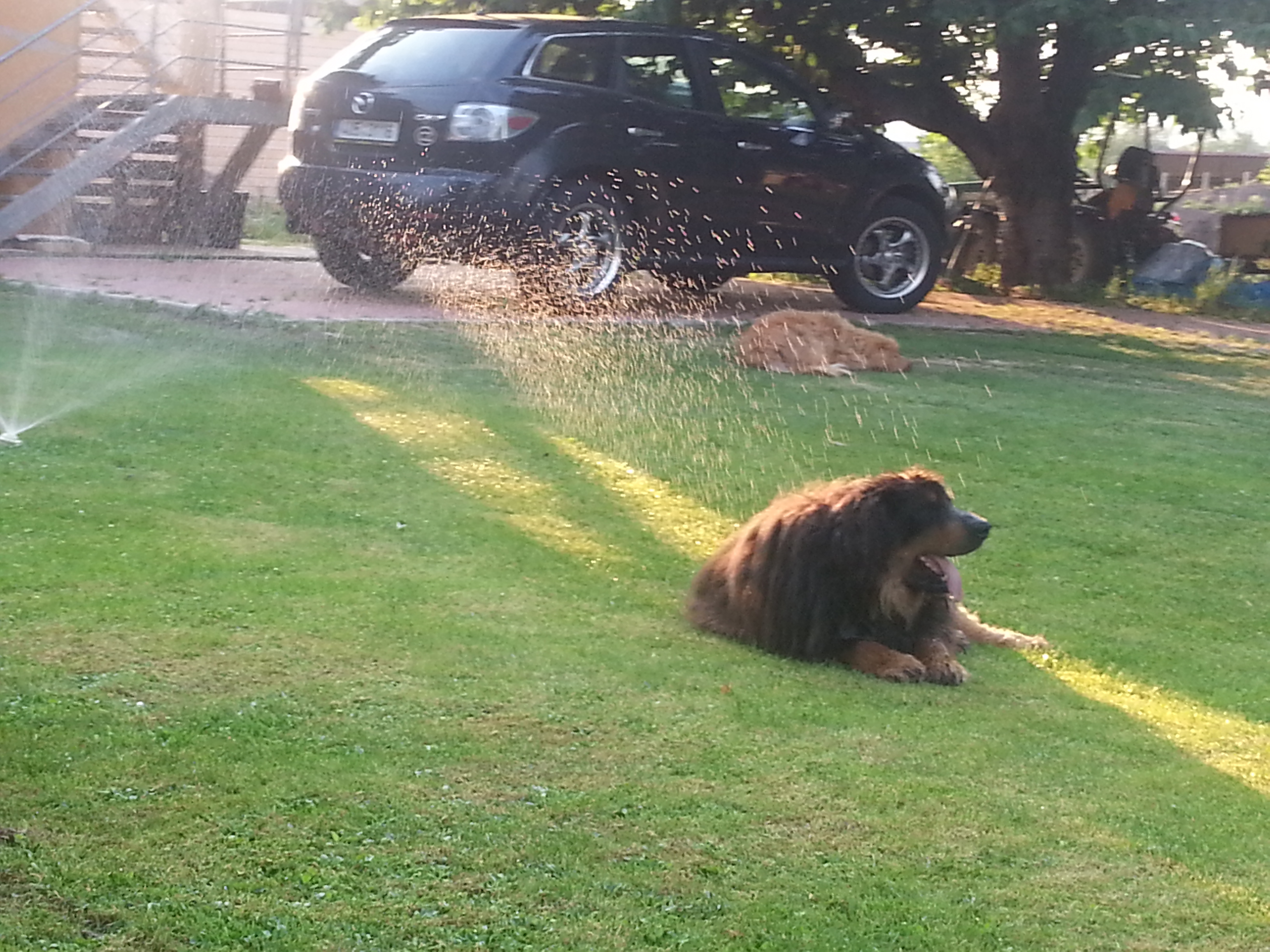 ABC HOTOVO s.r.o. foto 1