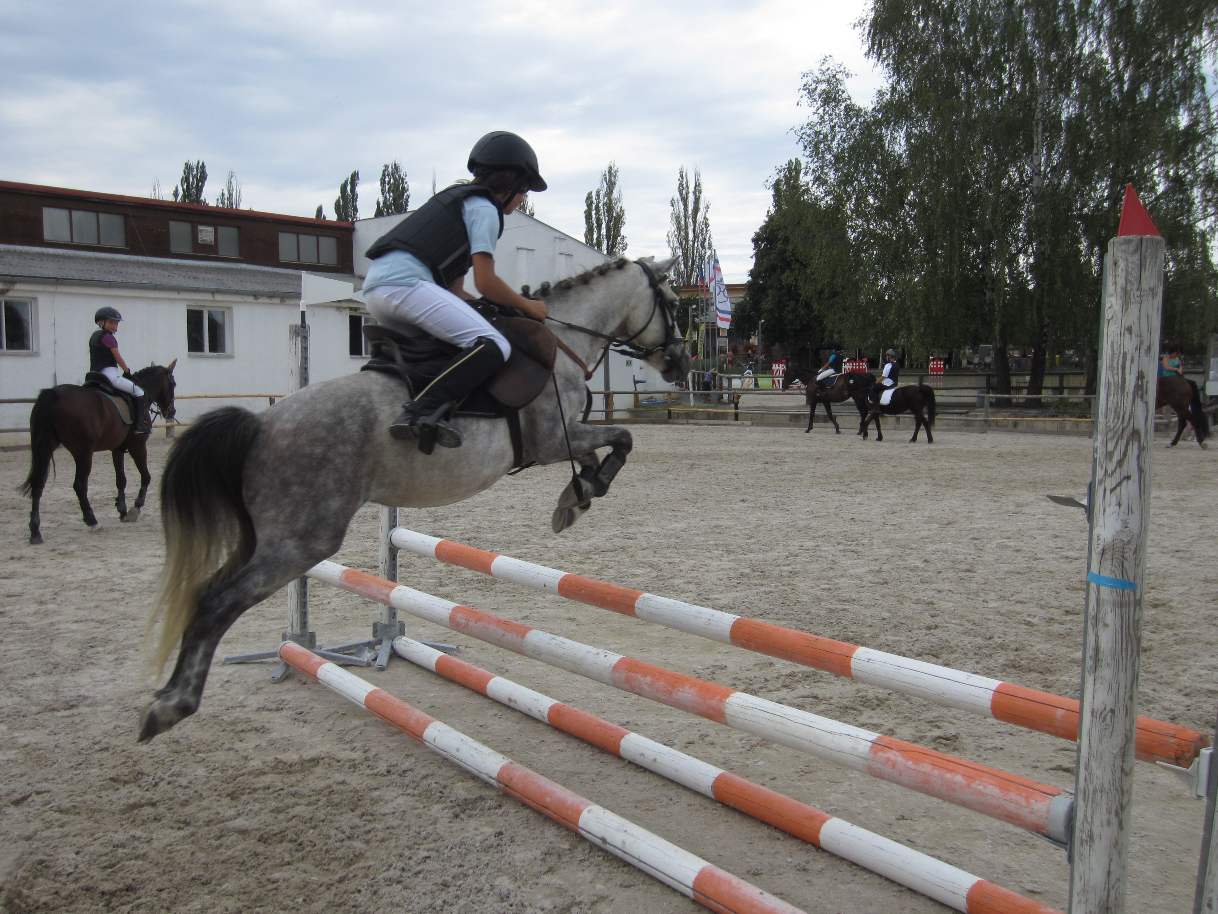 Farma Bojov - JK Paganini foto 4