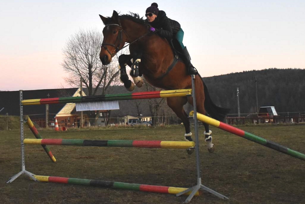Farma Bojov - JK Paganini foto 3