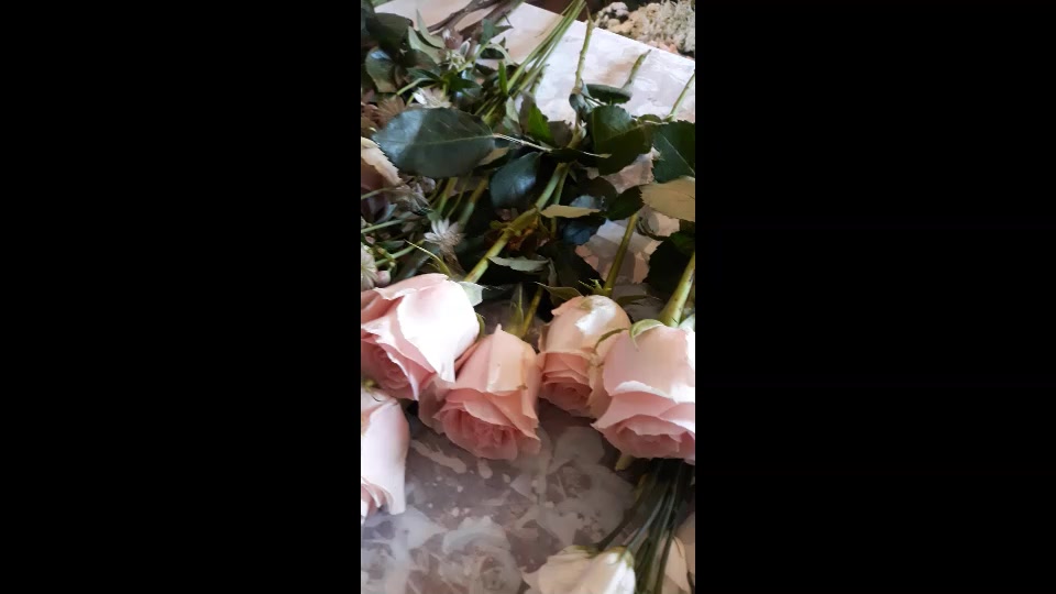 Zažij to foto 2 (náhled videa)