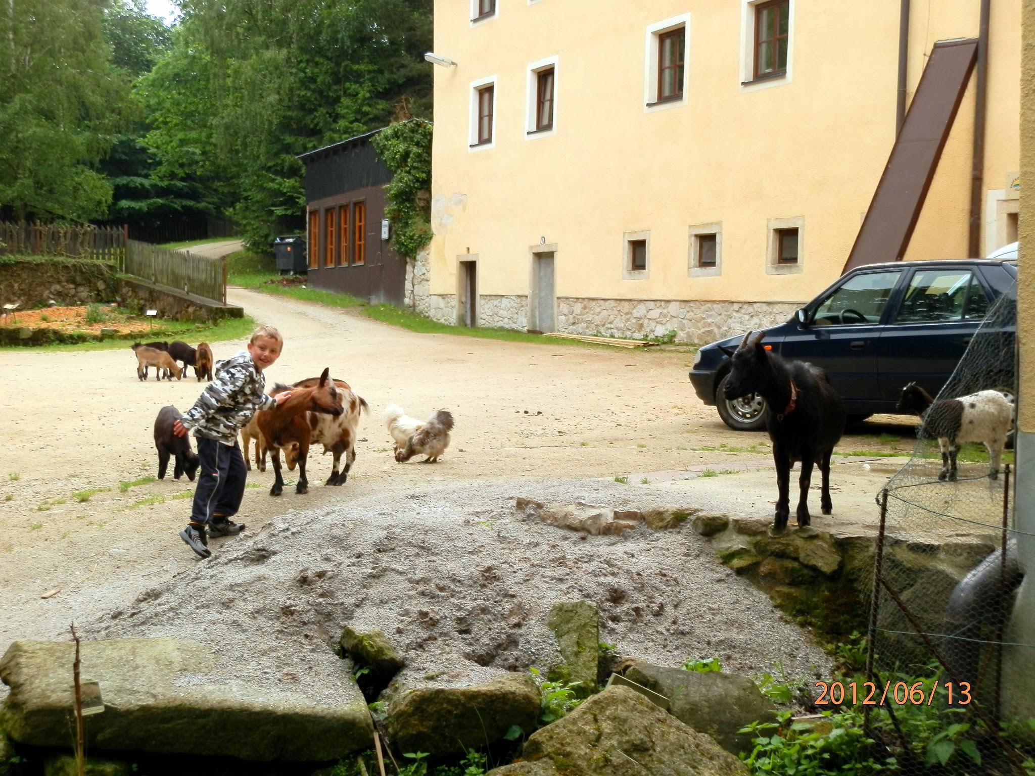 Penzion Bejčkův mlýn foto 4