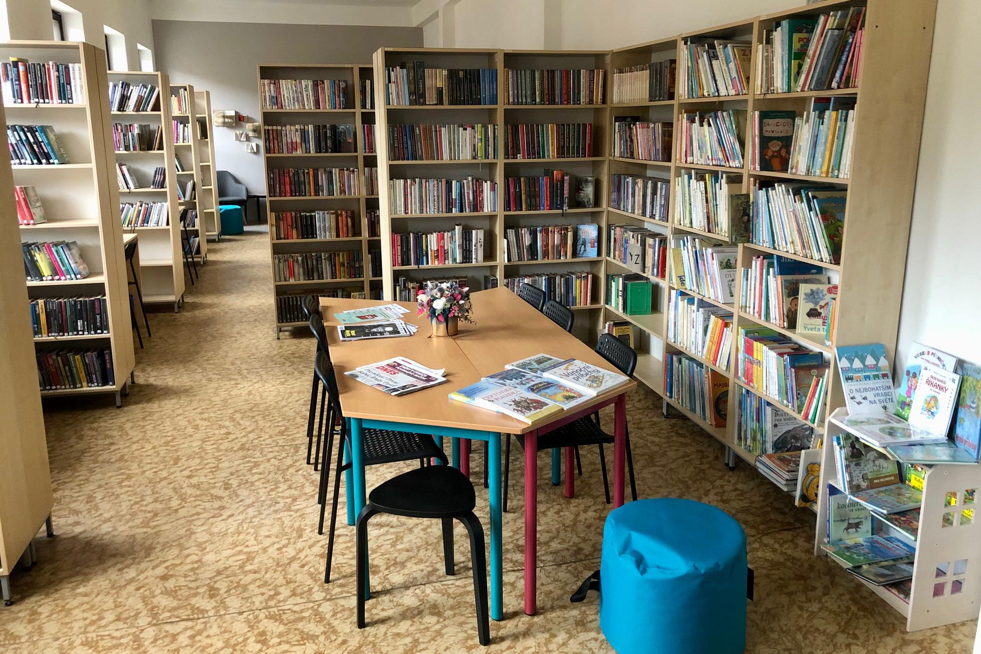 Místní knihovna Davle