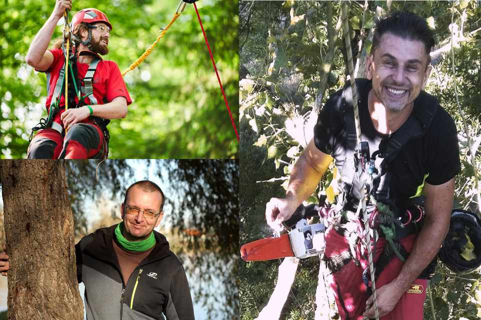 Stromoborci s.r.o. foto 2