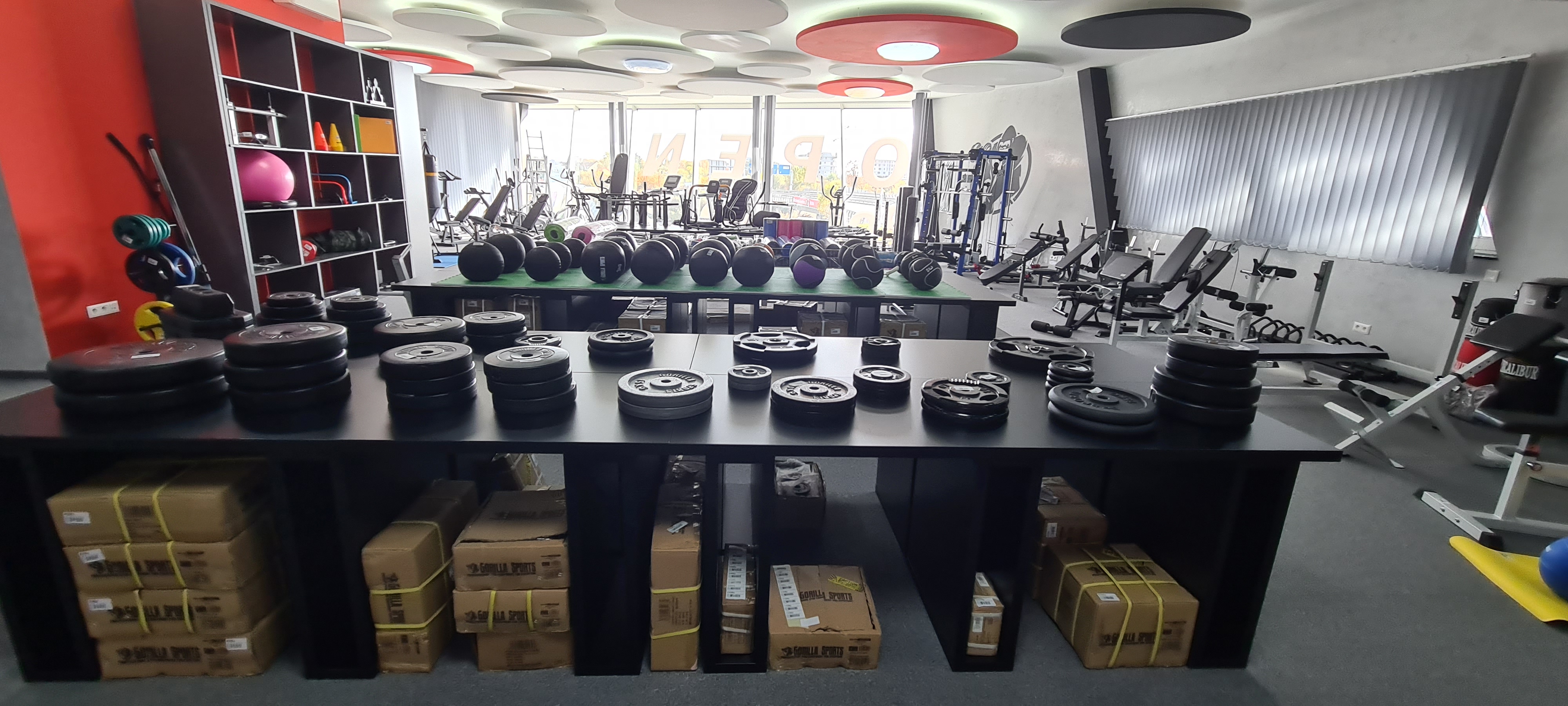 Gorillasports.cz foto 4