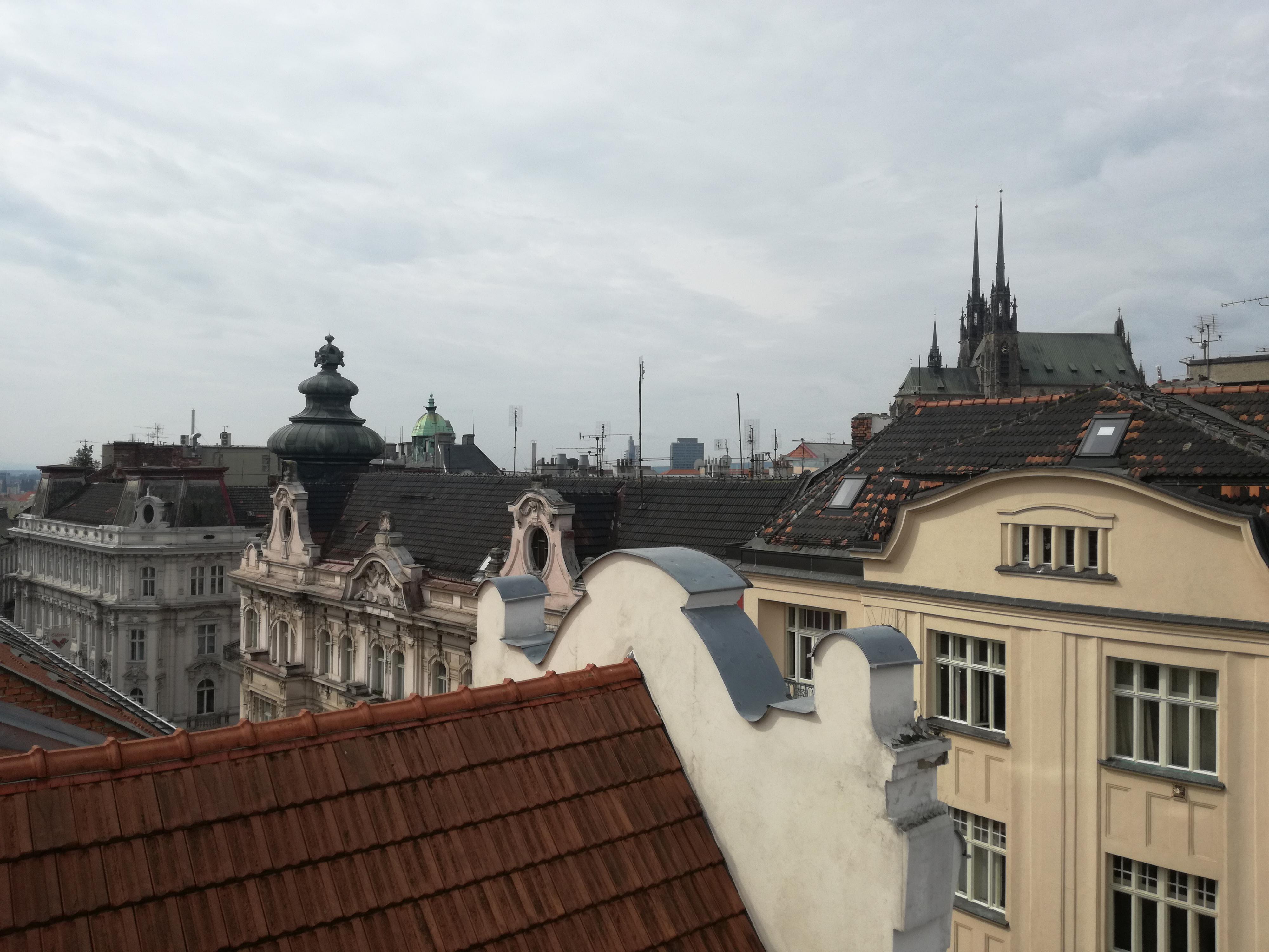 Roman Trenz - Revizní technik komínů a spalinových cest foto 3