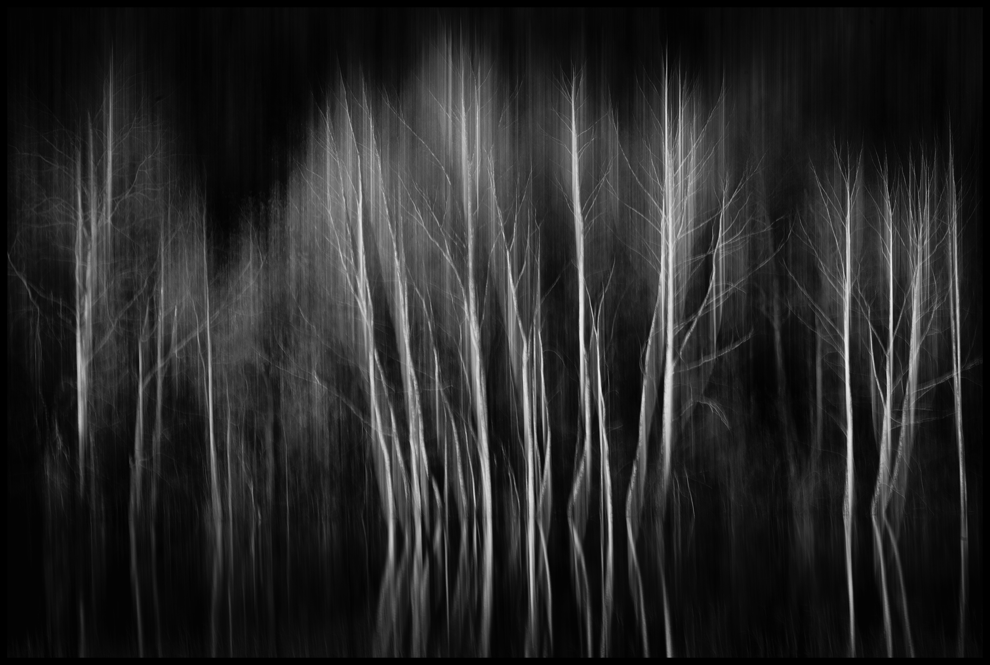 Fotograf Martin Vorel foto 2