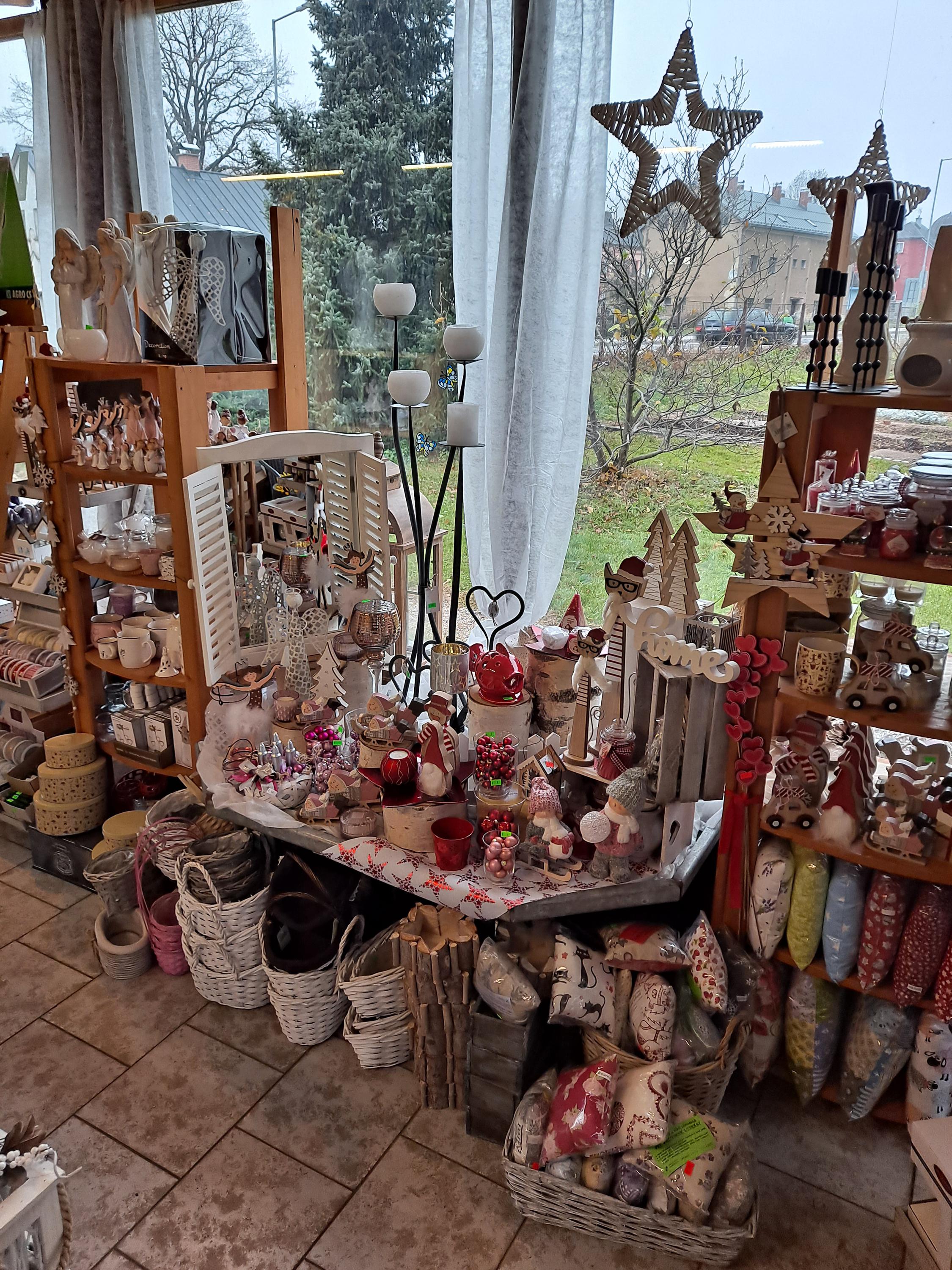 Liana Bridziková foto 2