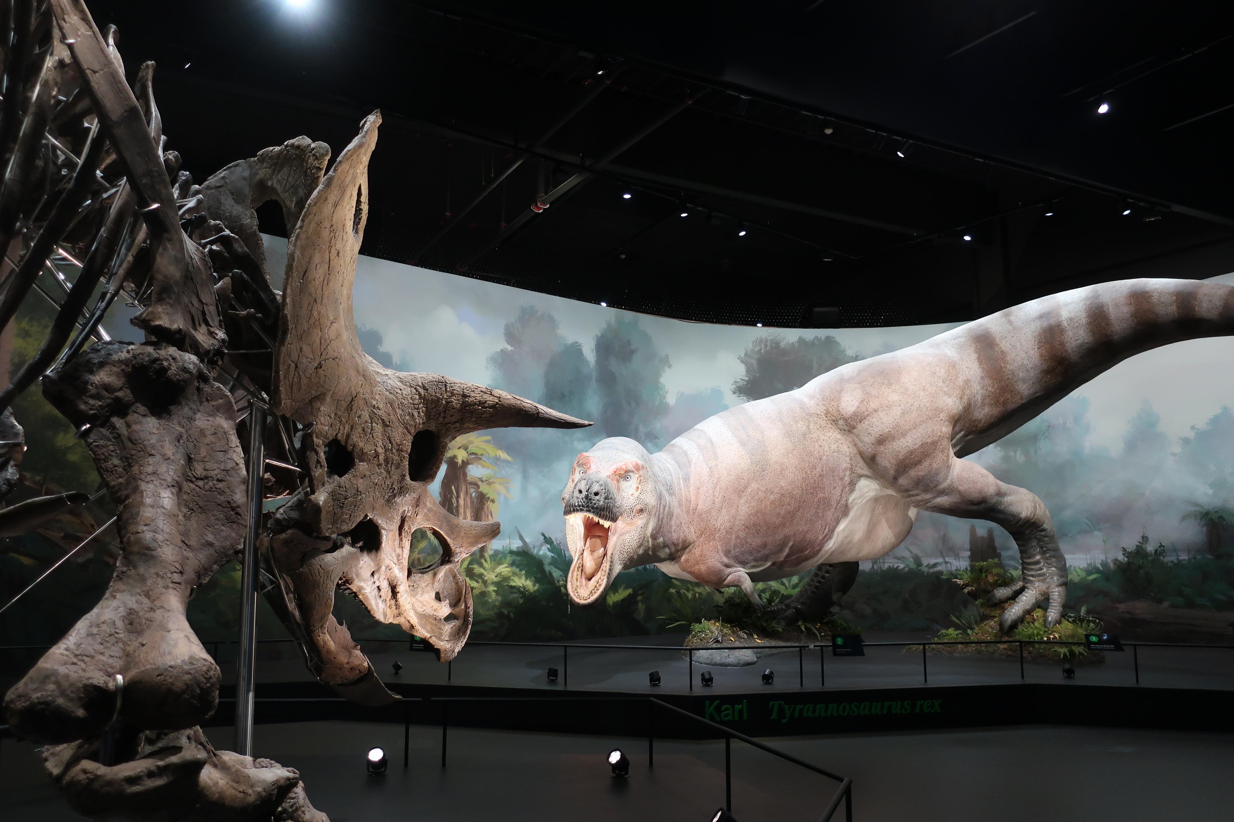 Dinosauria Museum Prague foto 5