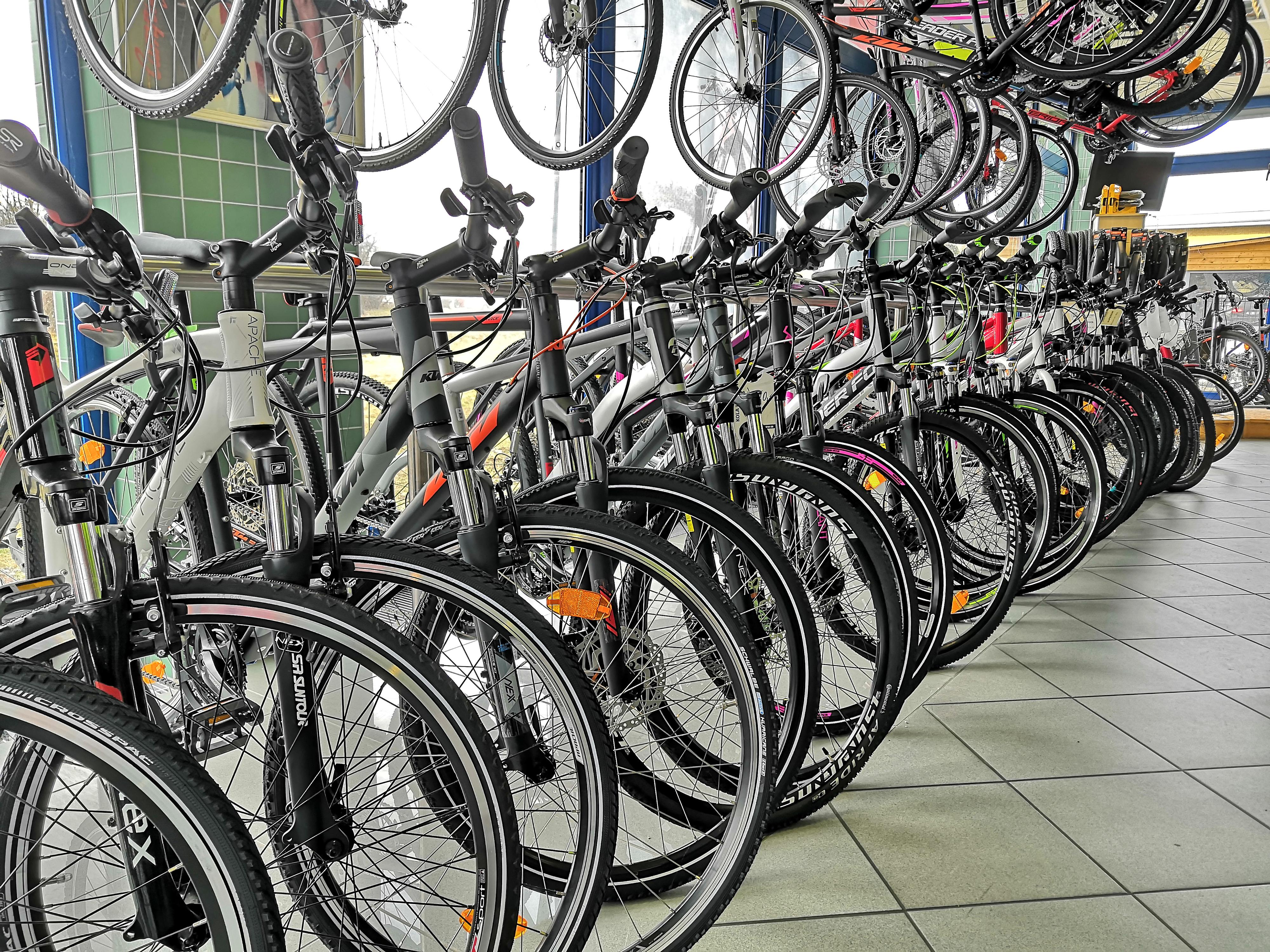 Kola & lyže Usnul foto 2