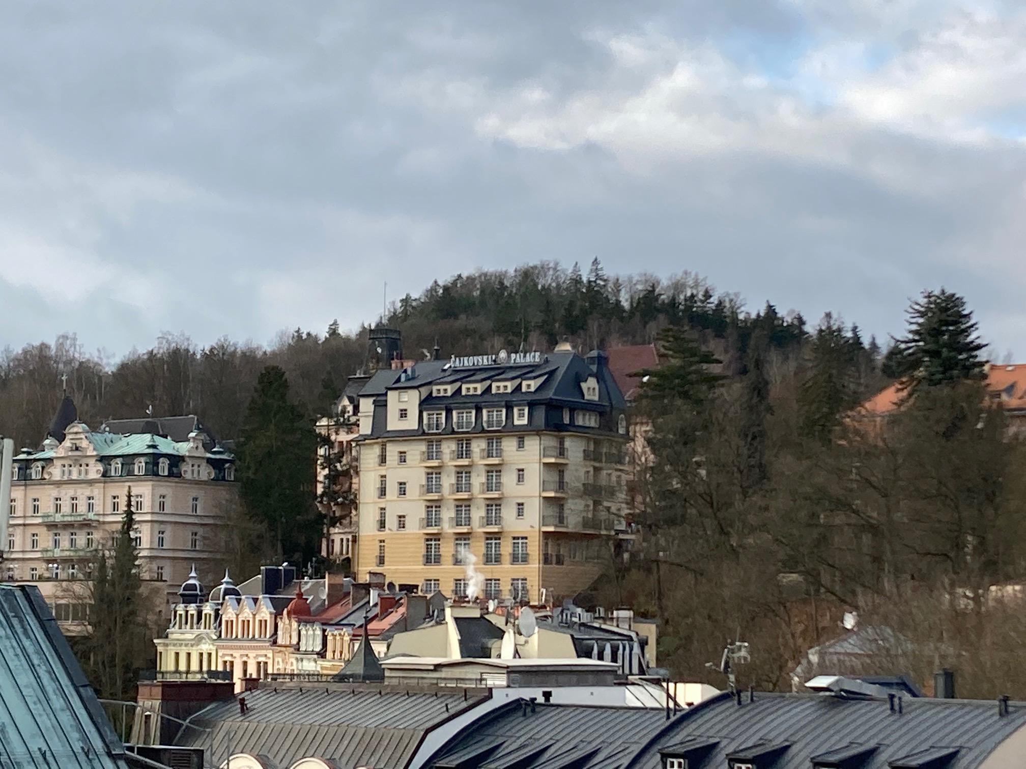 SPA &  Wellness Hotel Čajkovskij Palace foto 5