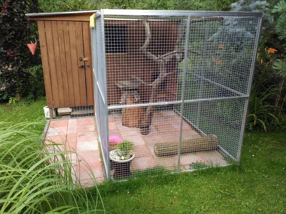 spokojenypapousek.cz foto 4