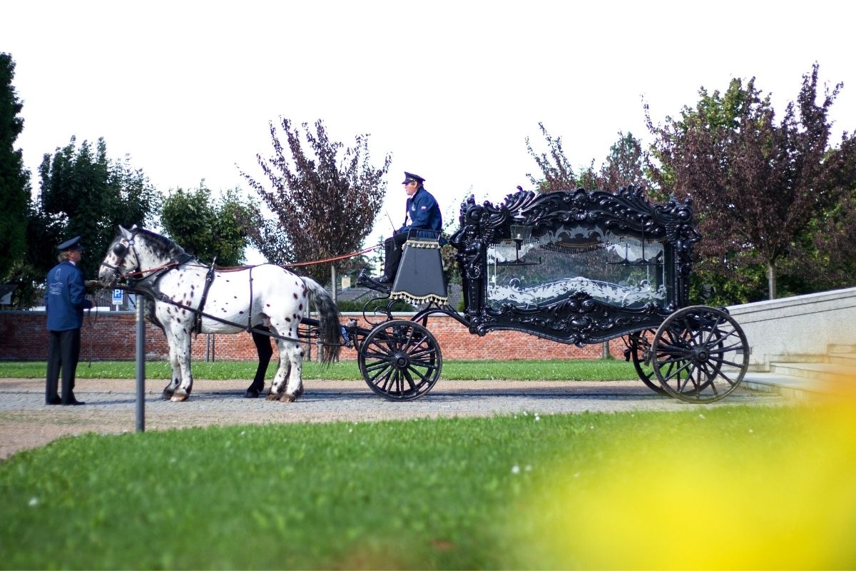 Alfa - kompletní pohřební služby