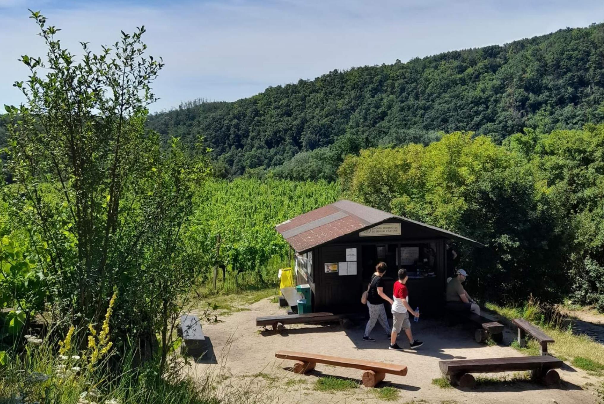 Znovín Znojmo - Ochutnávkový stánek Šobes