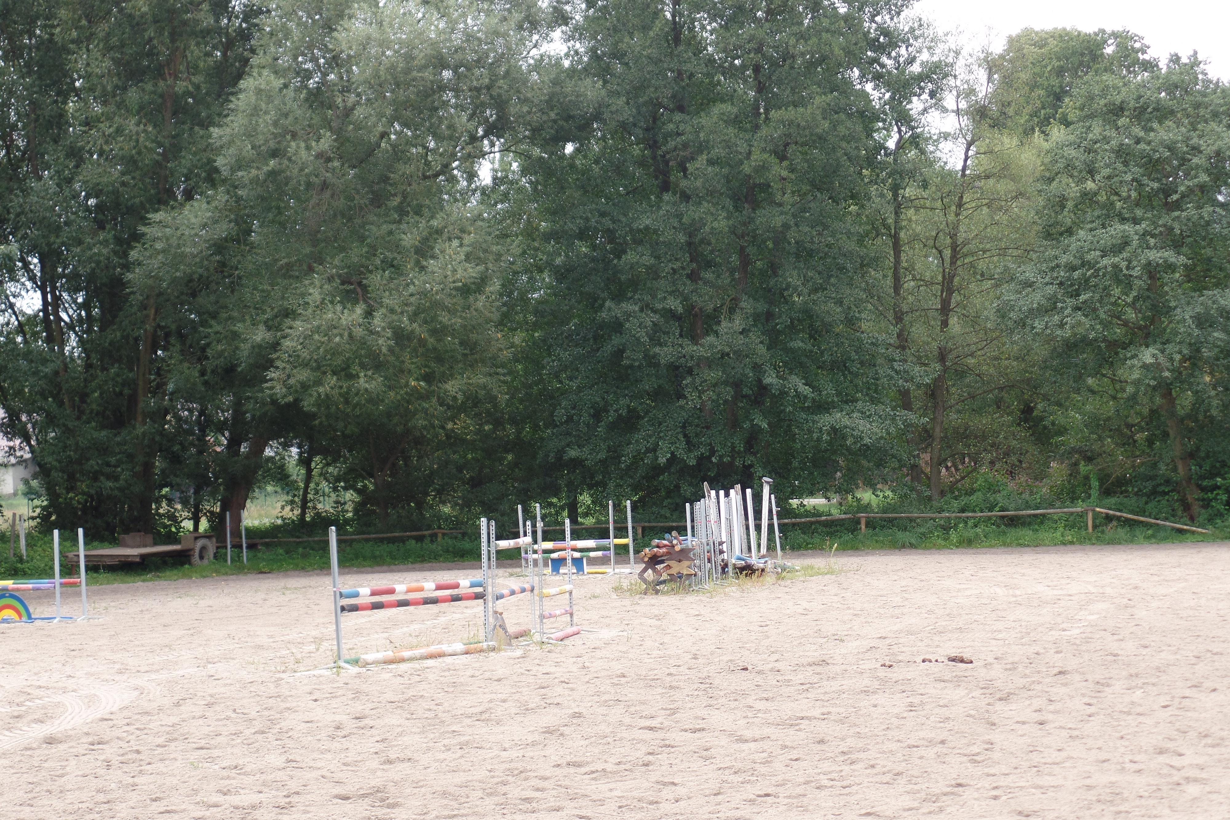 Jezdecký klub Loštice, z.s. foto 3