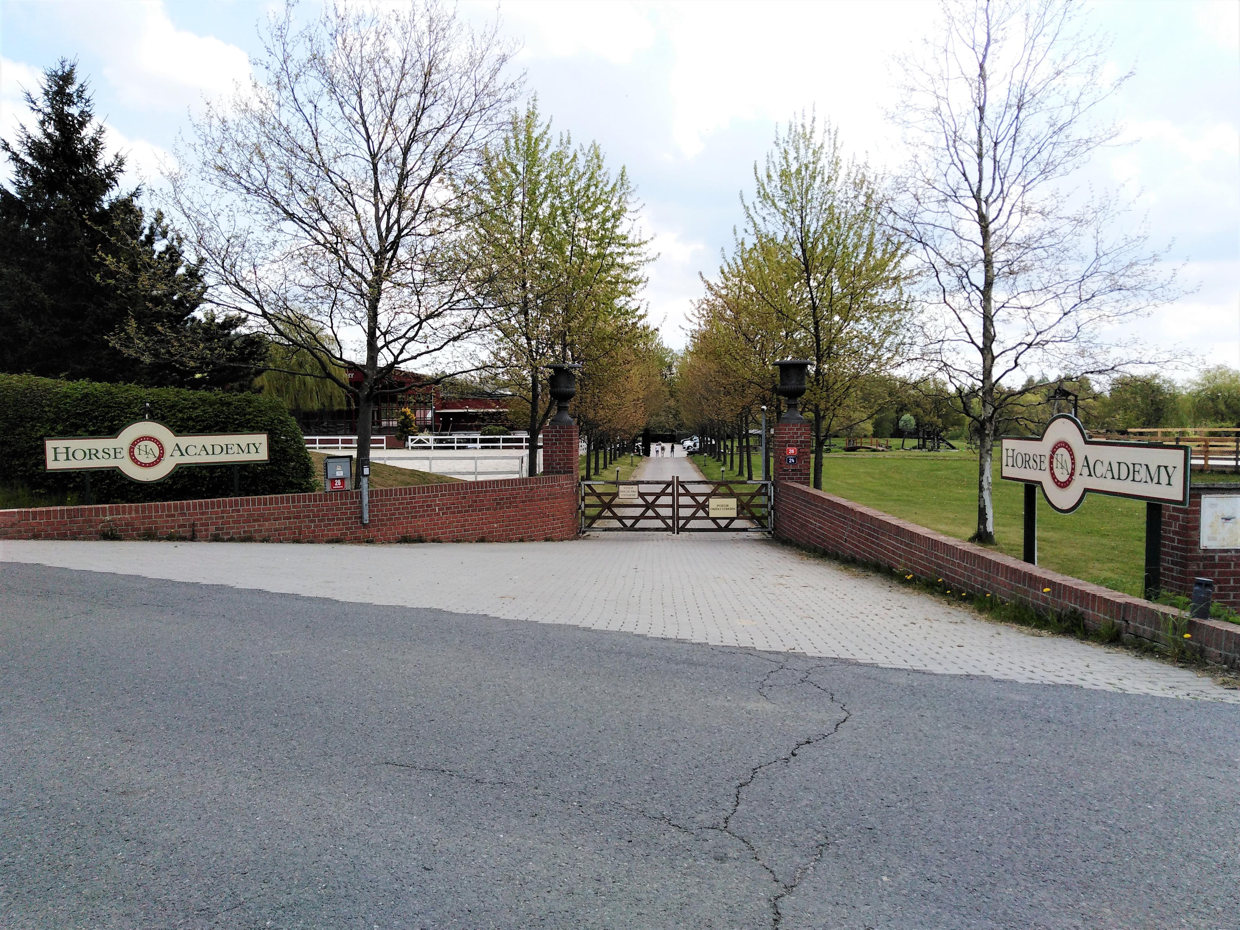 Horse Academy foto 1