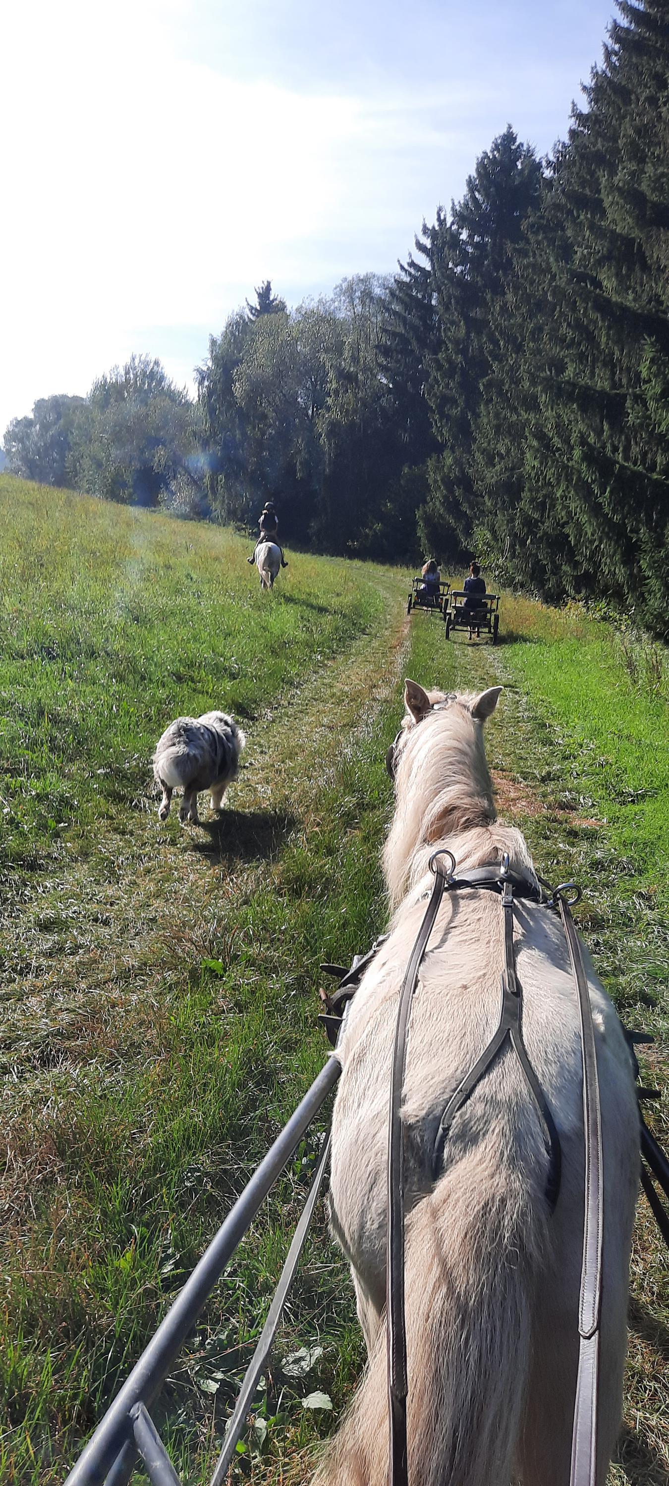 De Cheval farm foto 2