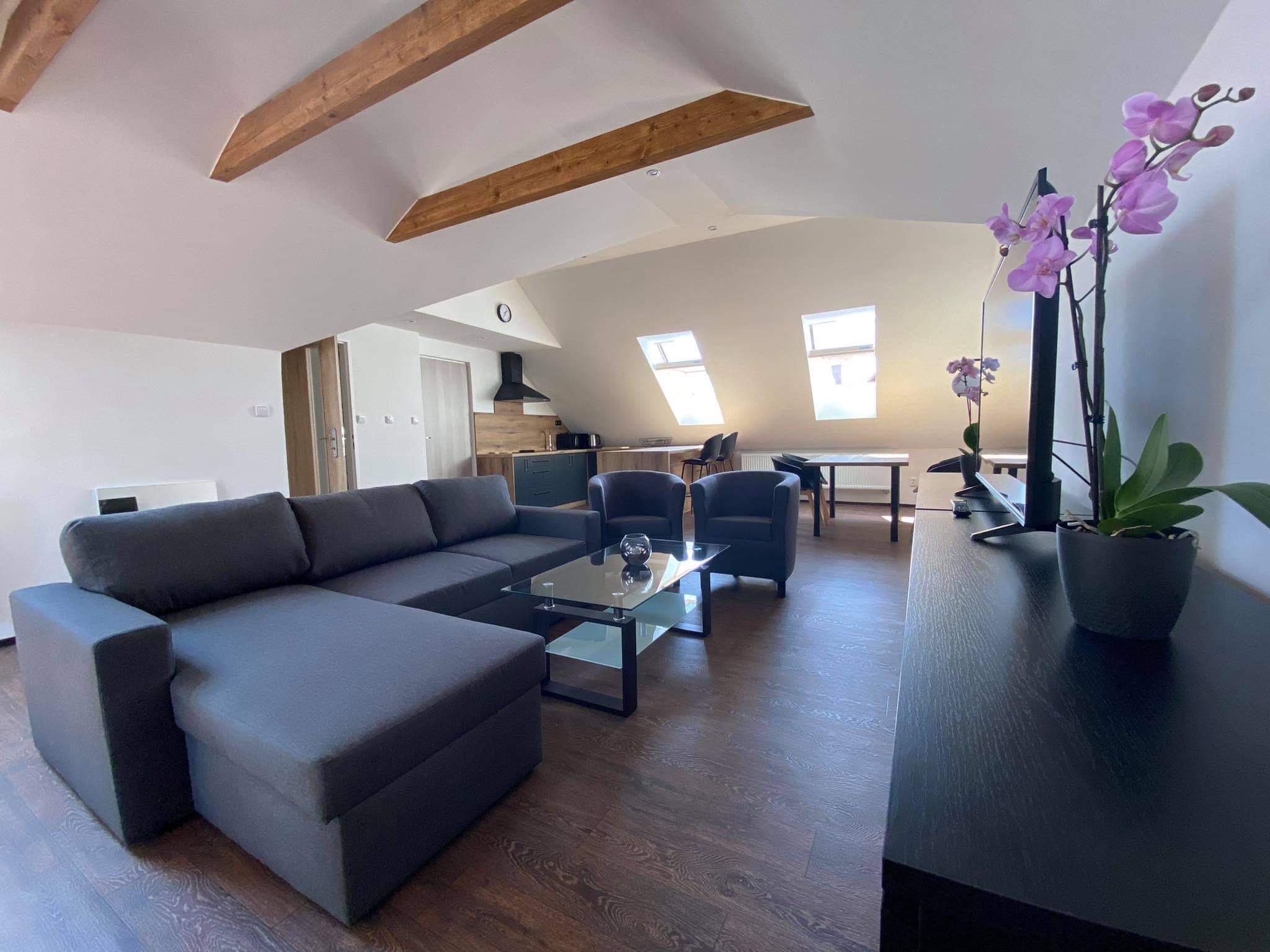 SG apartmány Hořice v Podkrkonoší foto 2