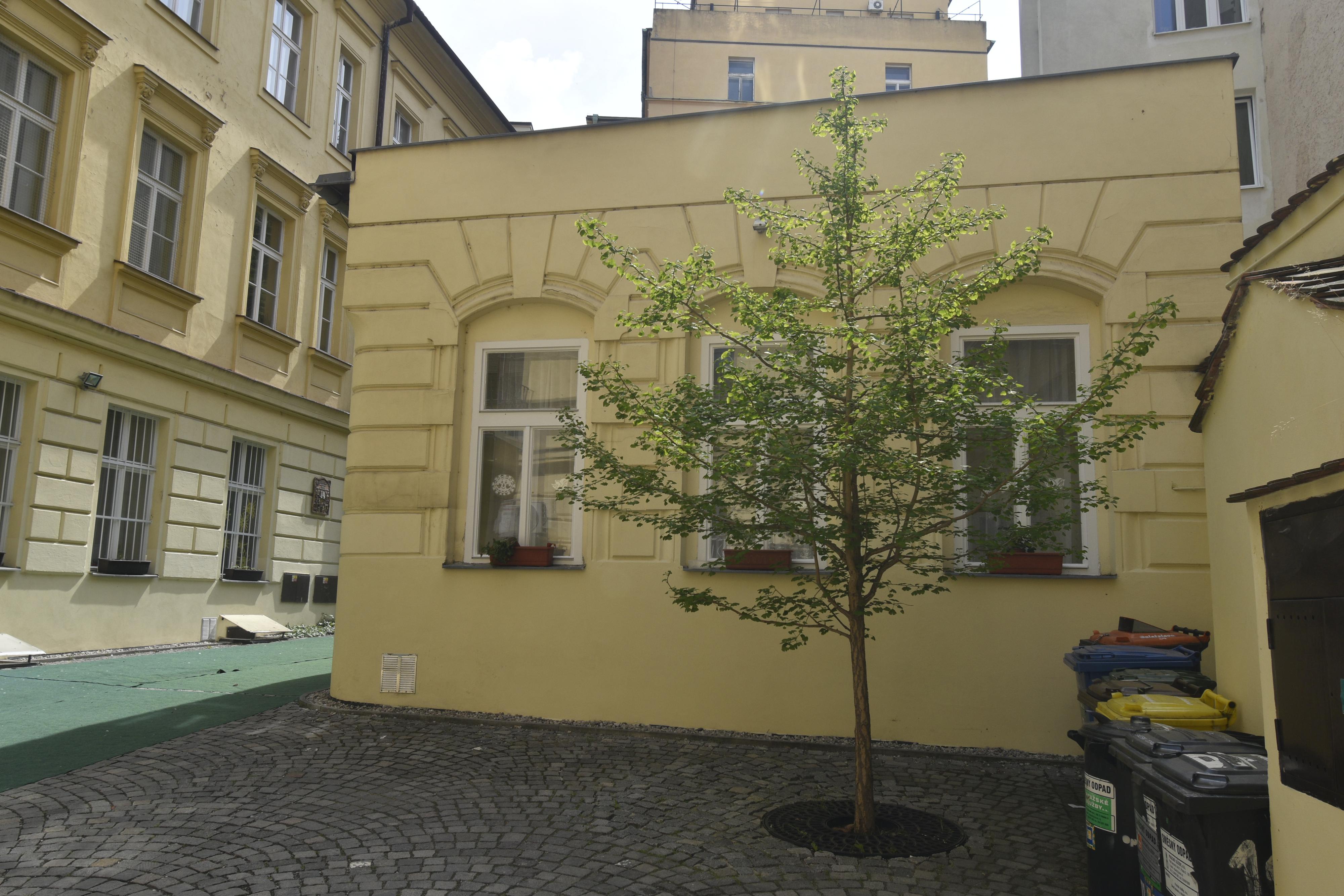 Mateřská škola Opletalova foto 6