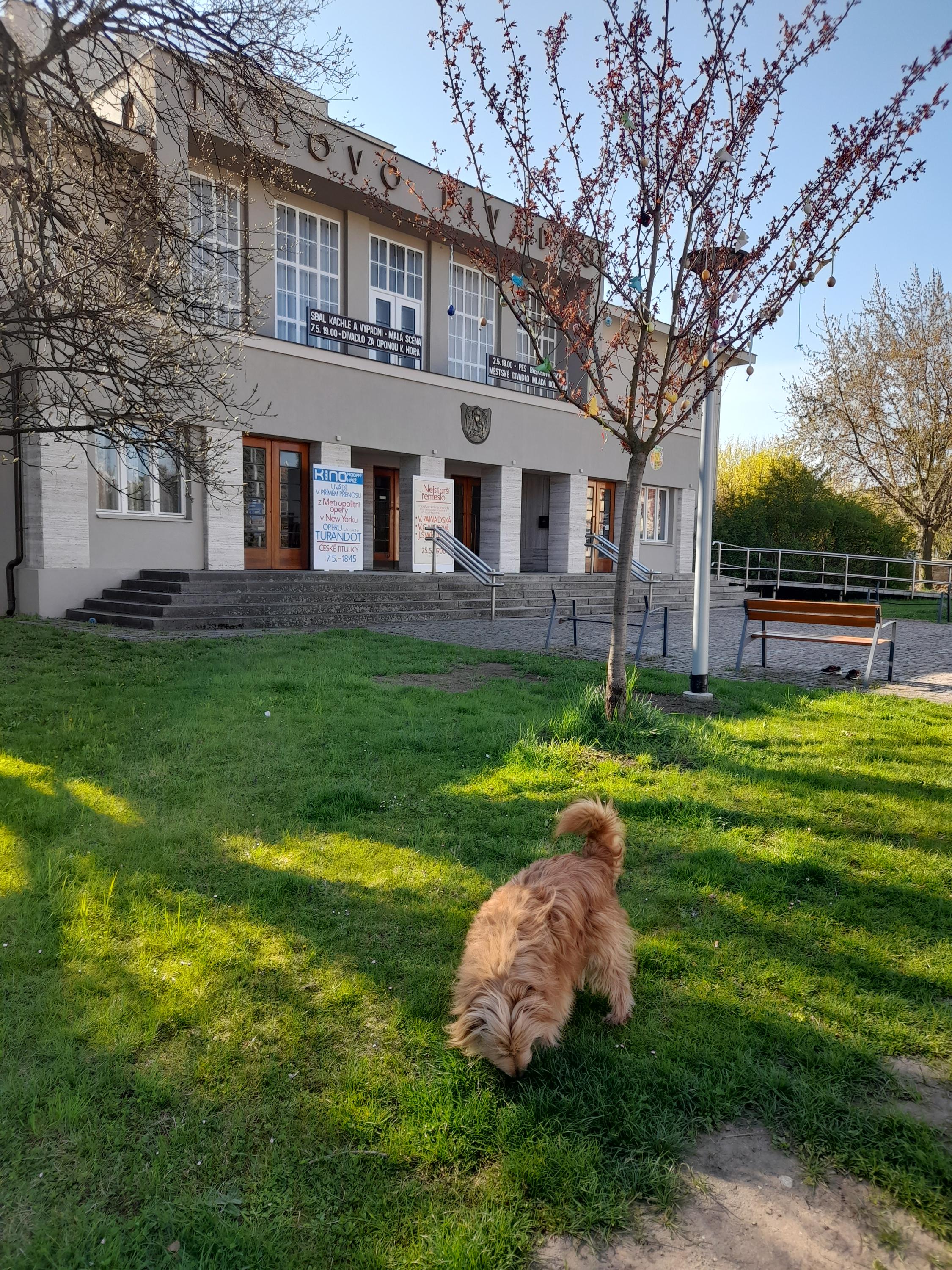 Městské Tylovo divadlo foto 3