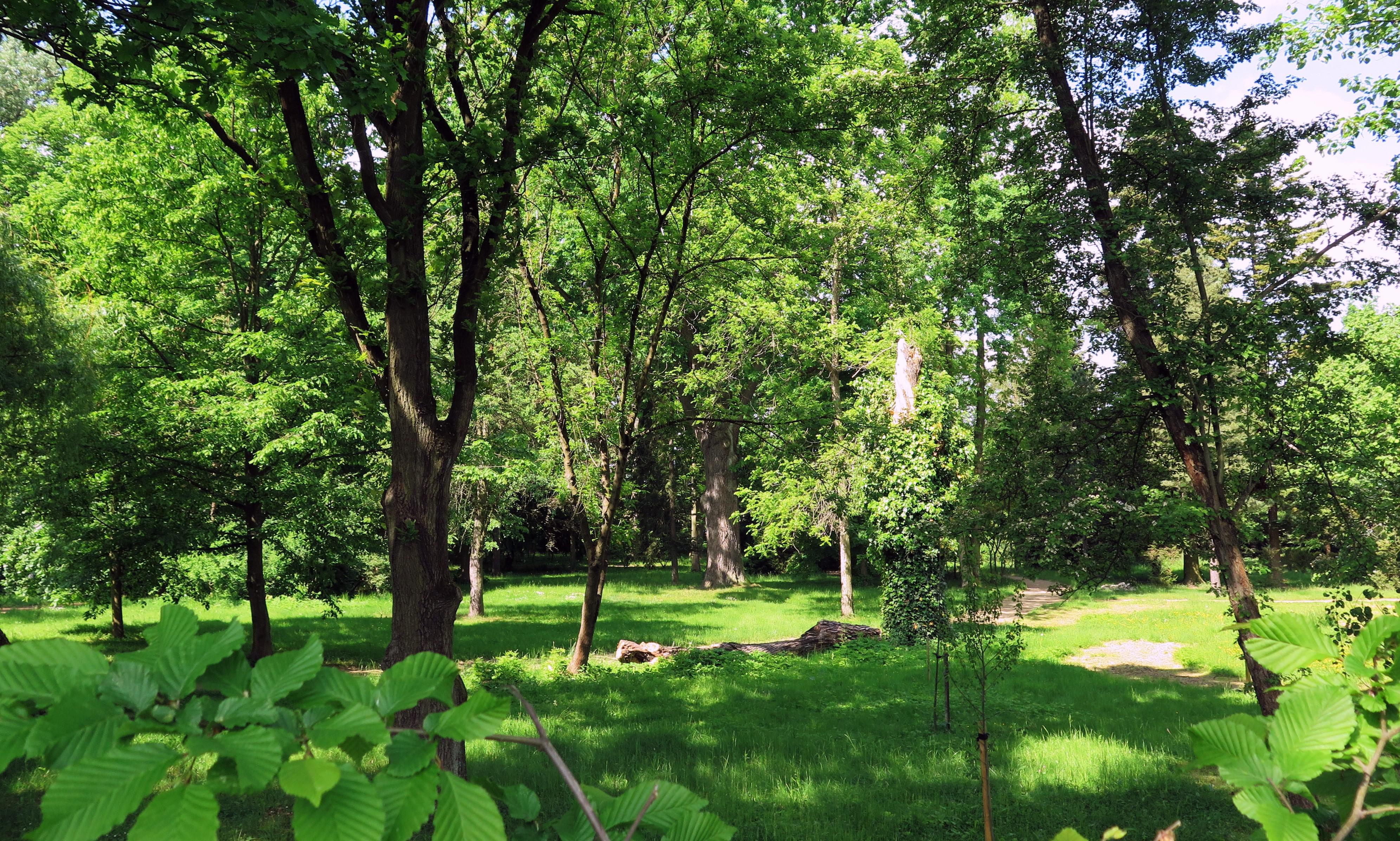 Vyšší odborná škola lesnická a Střední lesnická škola Bedřicha Schwarzenberga, Písek- domov mládeže foto 2