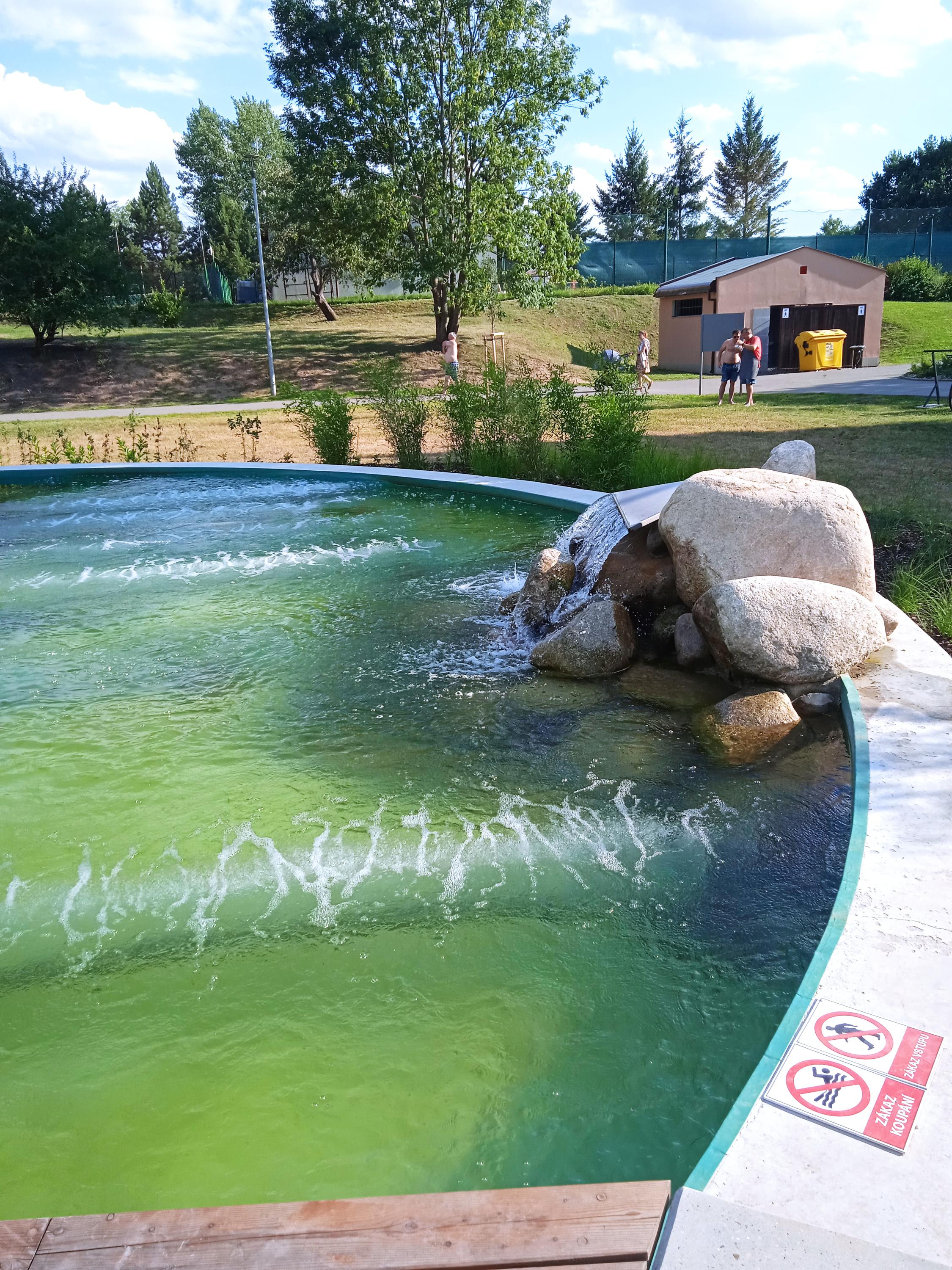 Přírodní koupací biotop Kosmonosy foto 5