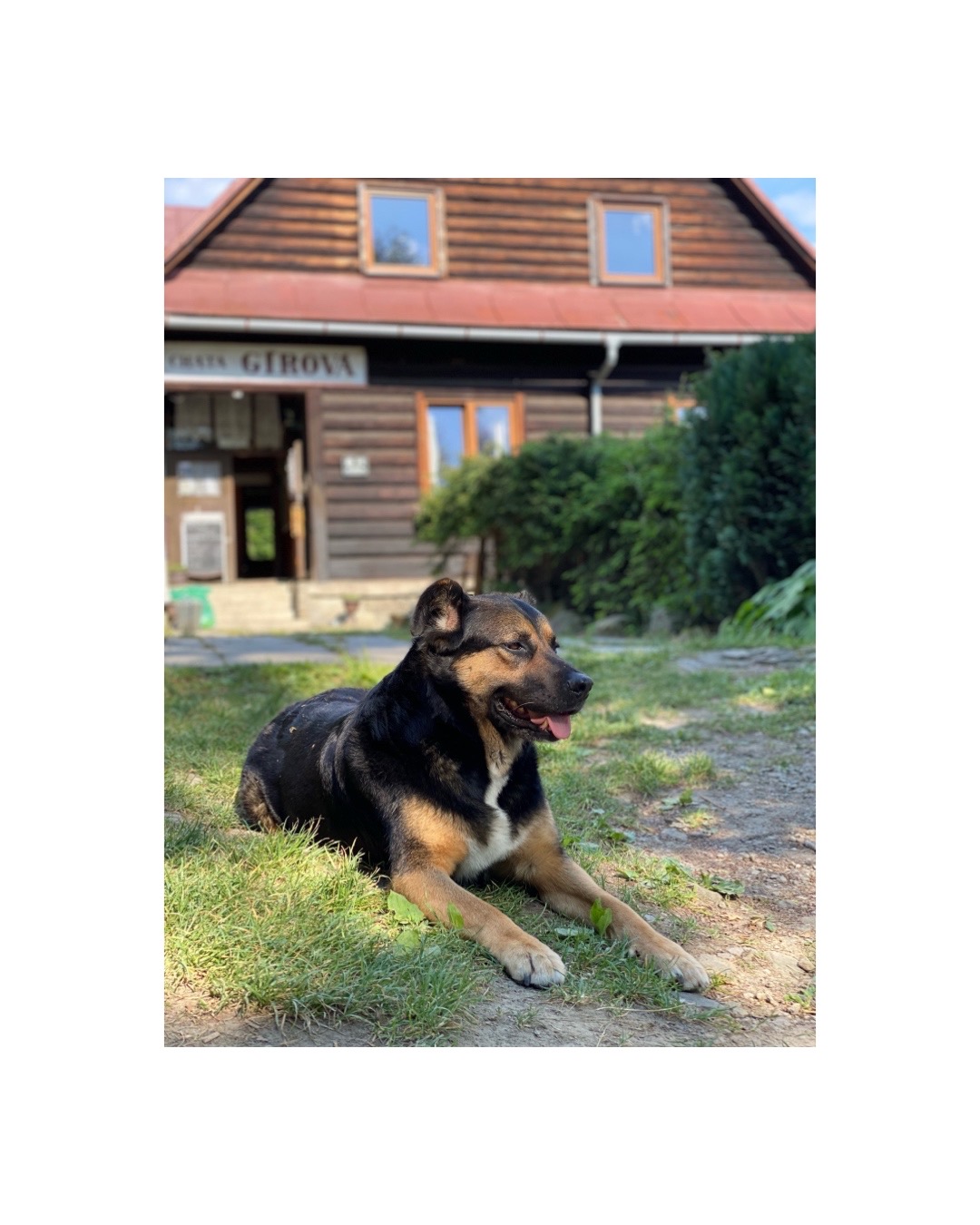 Horská chata Gírová foto 4
