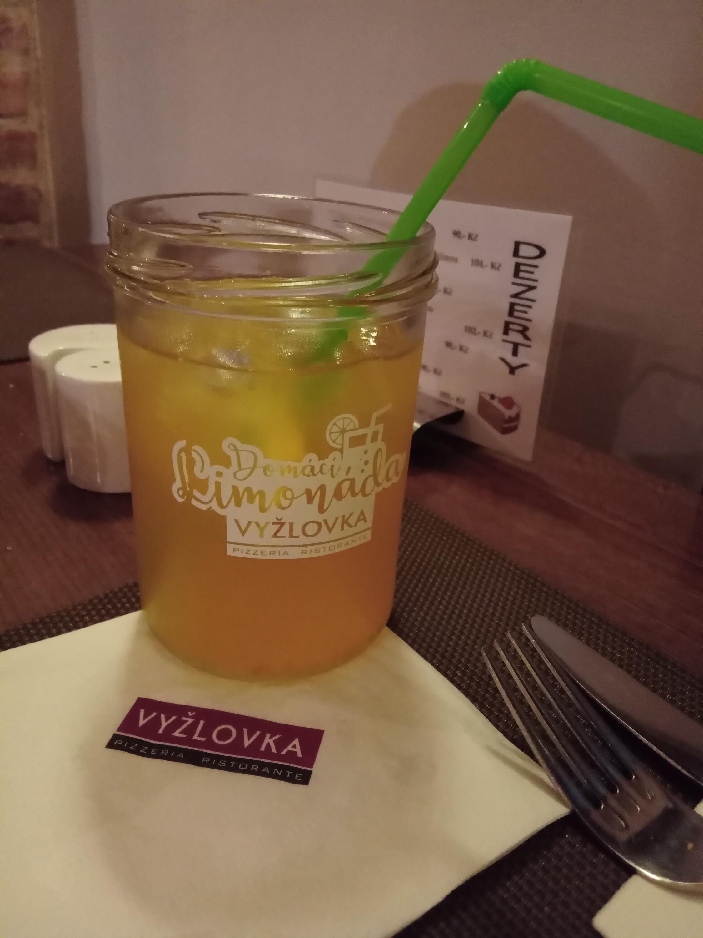 Pizzeria Ristorante Vyžlovka foto 2