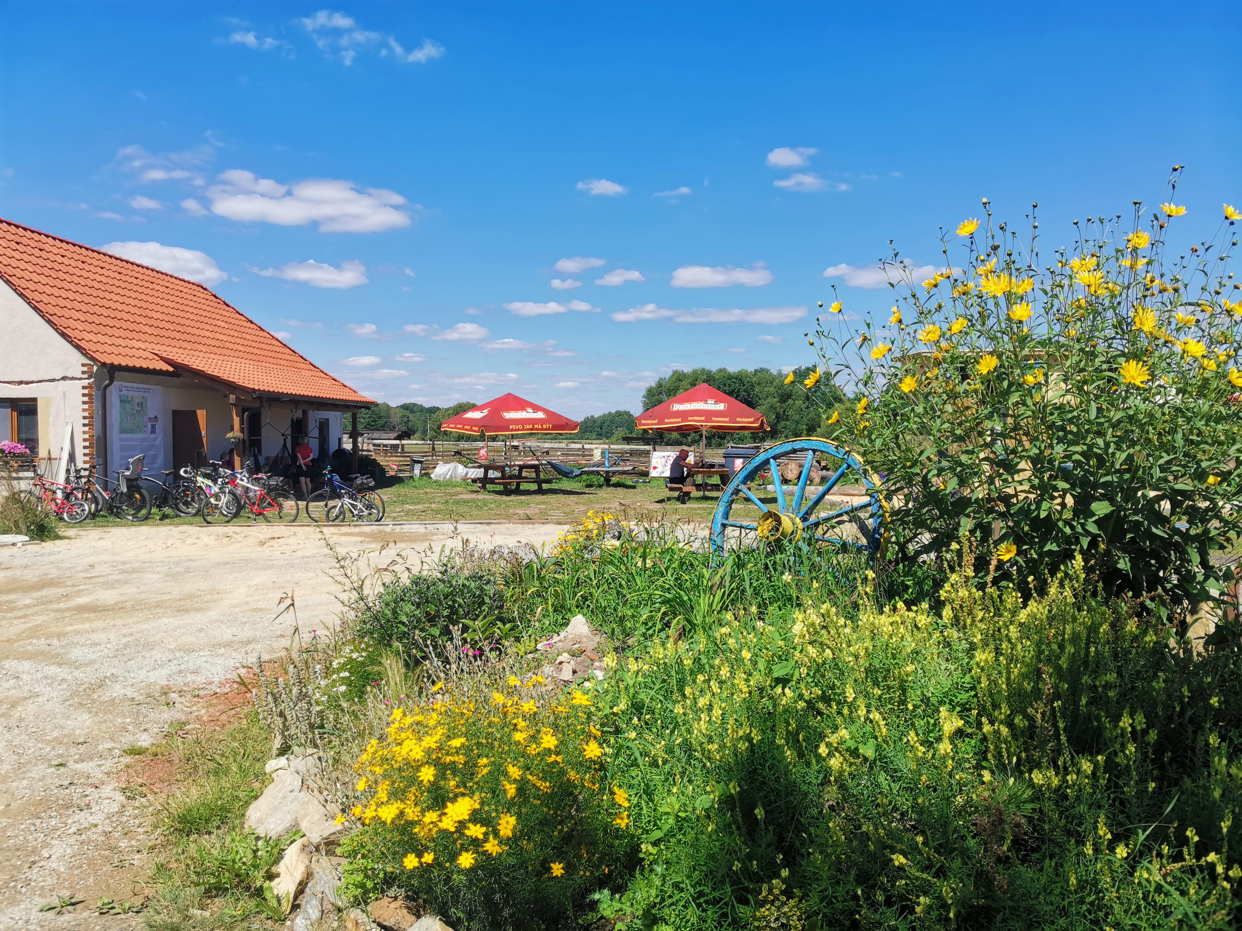 Pizza u babičky foto 4