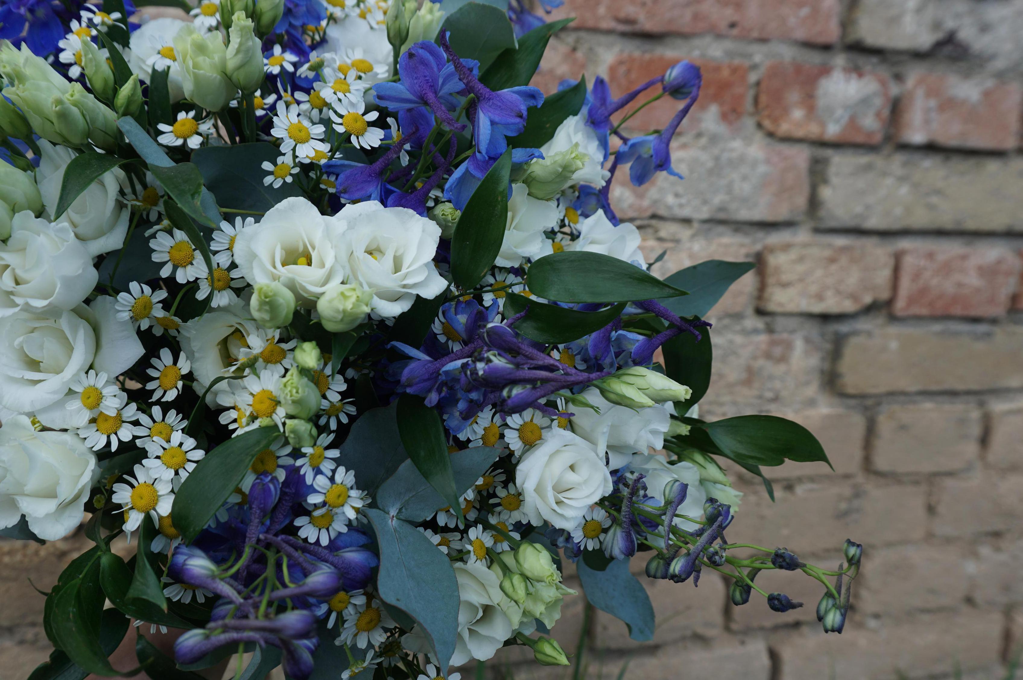 Květinářství Květa