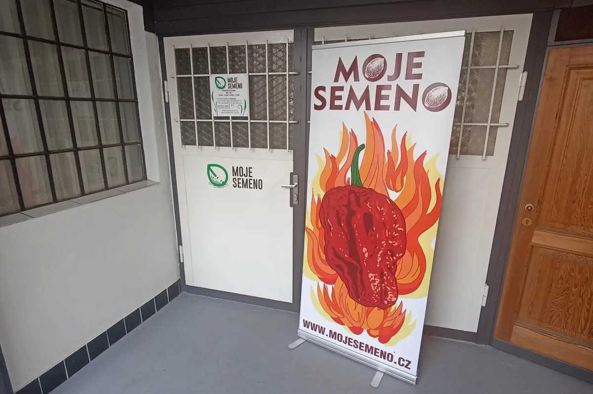 Moje semeno