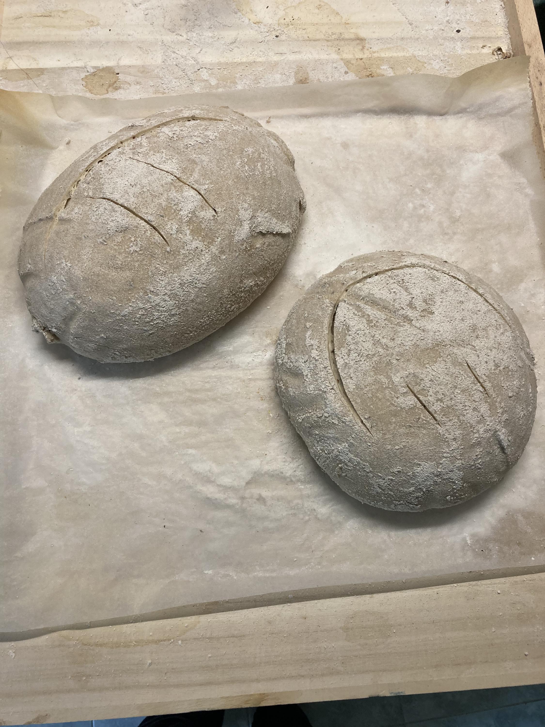 Osvěžovna pod lípou foto 2