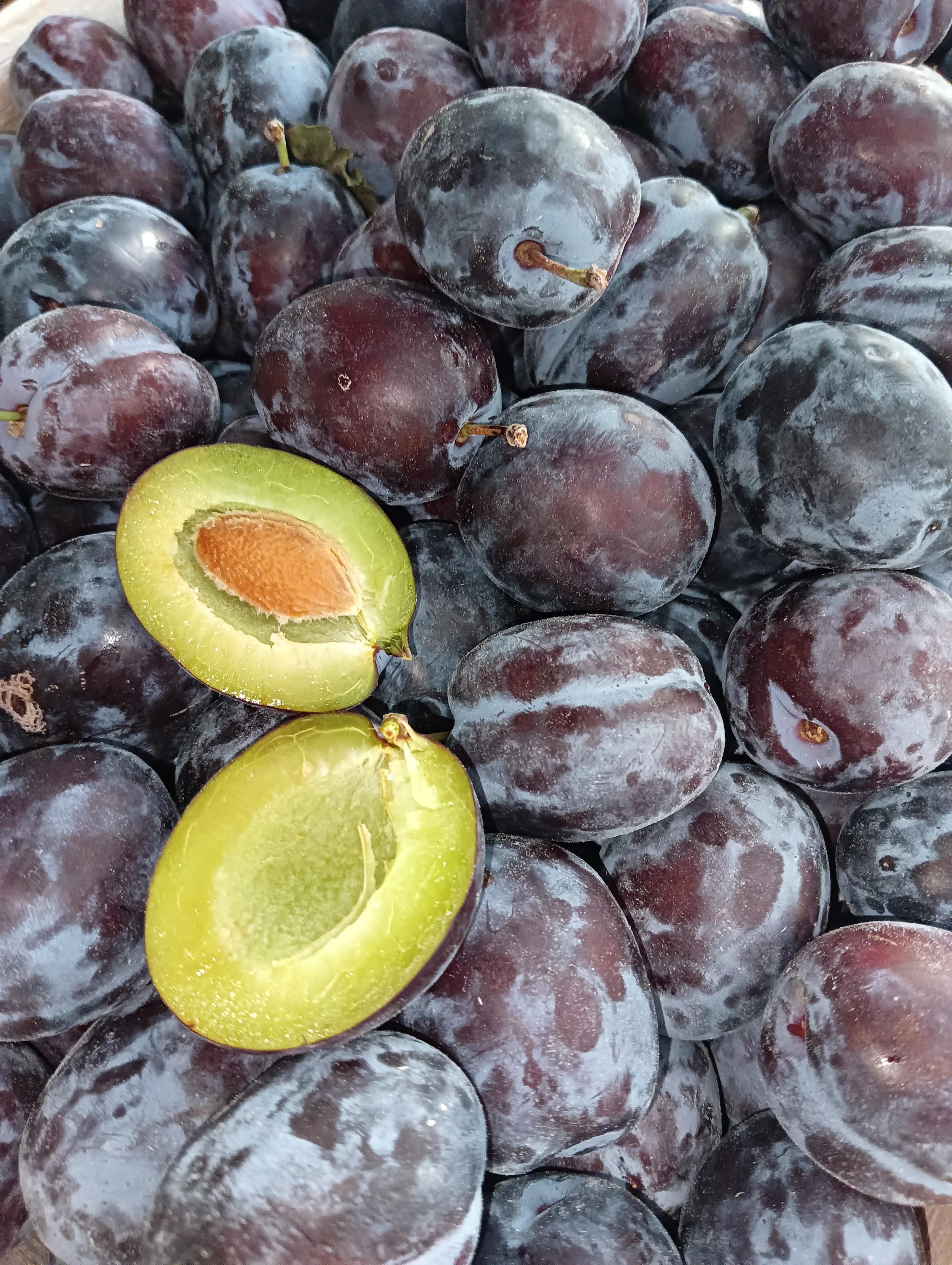 Zelenina a ovoce Iva Planičková foto 4