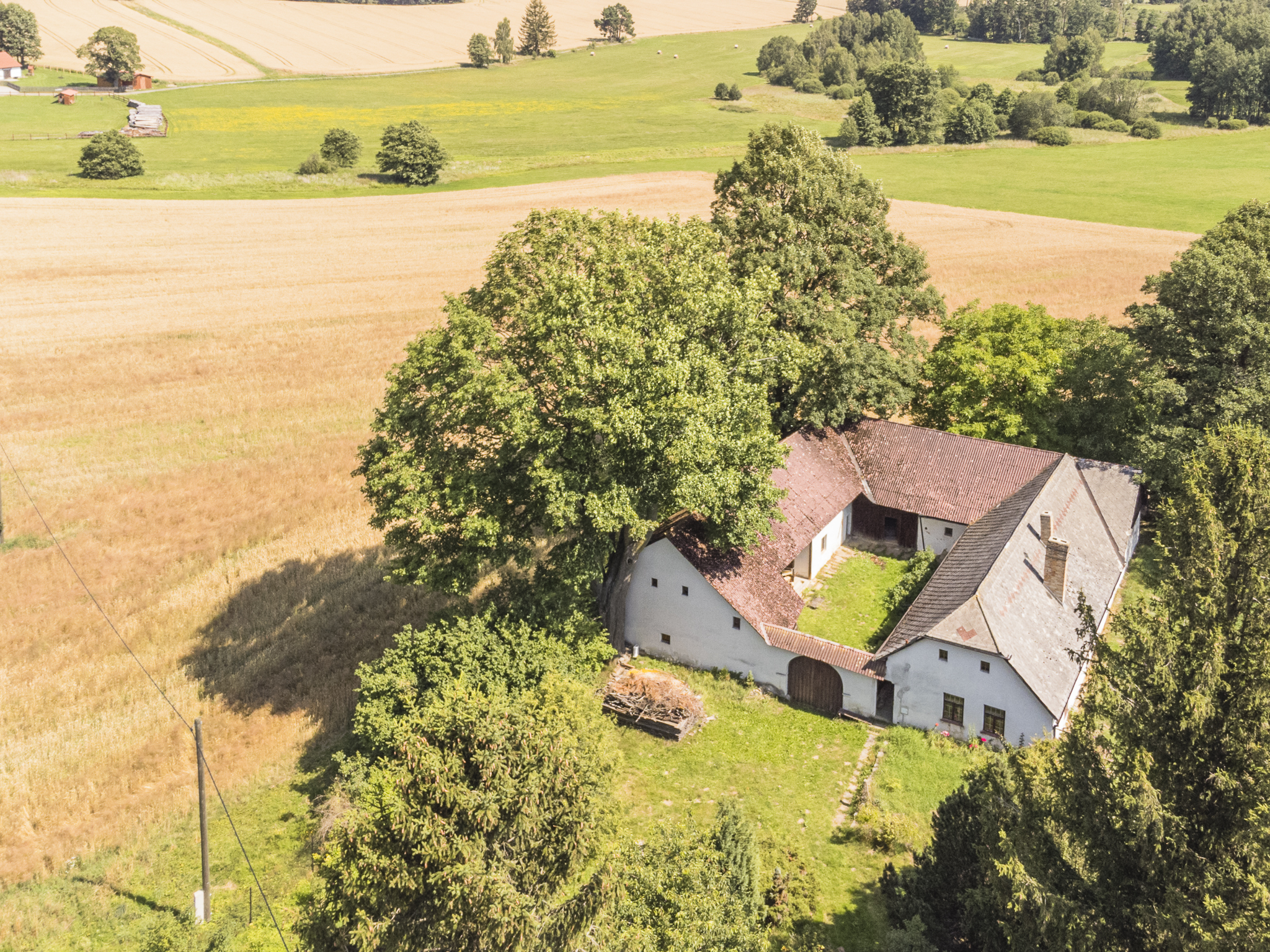 Reality Dvořák foto 3