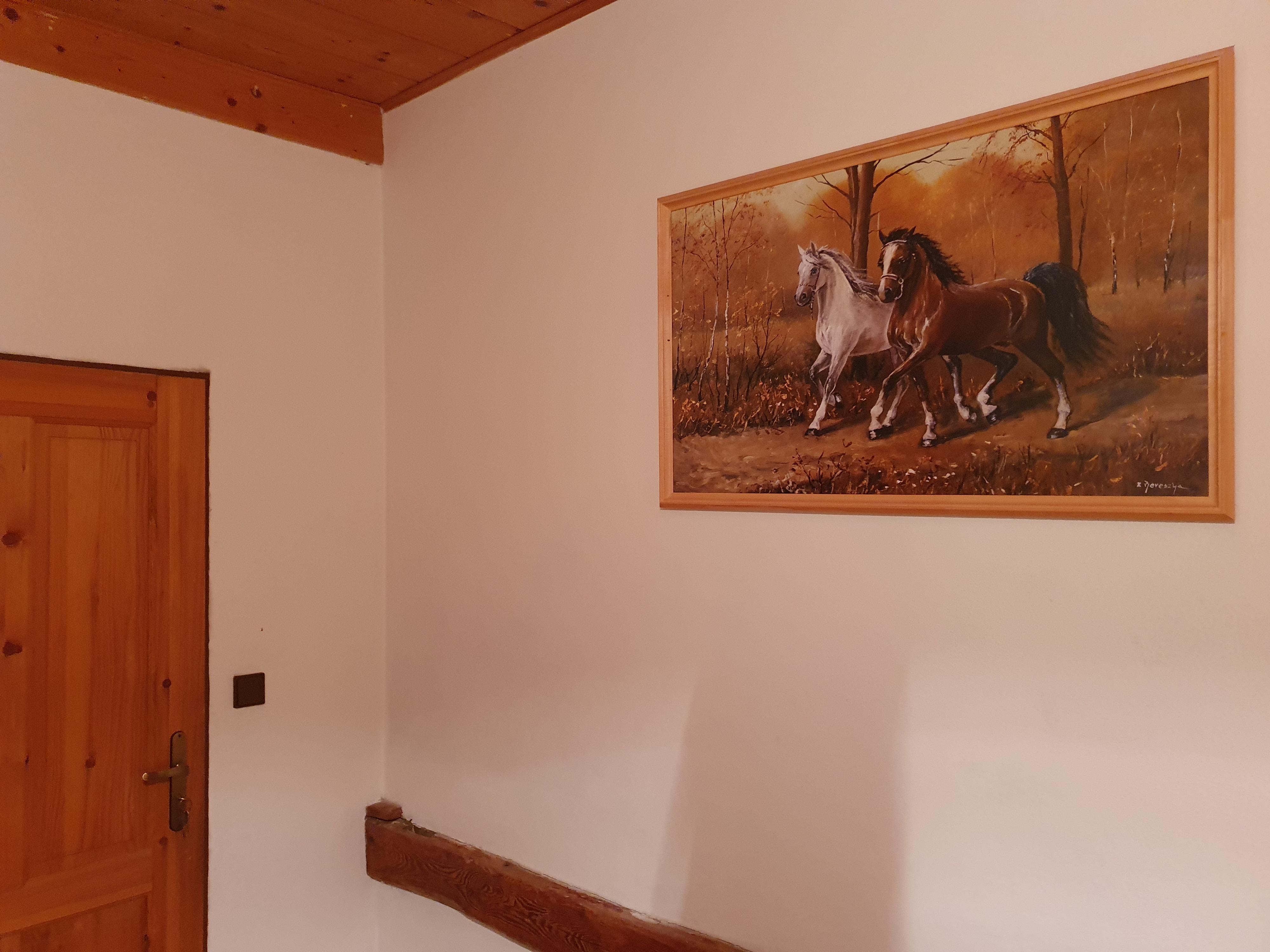 Stáj Malonty foto 5