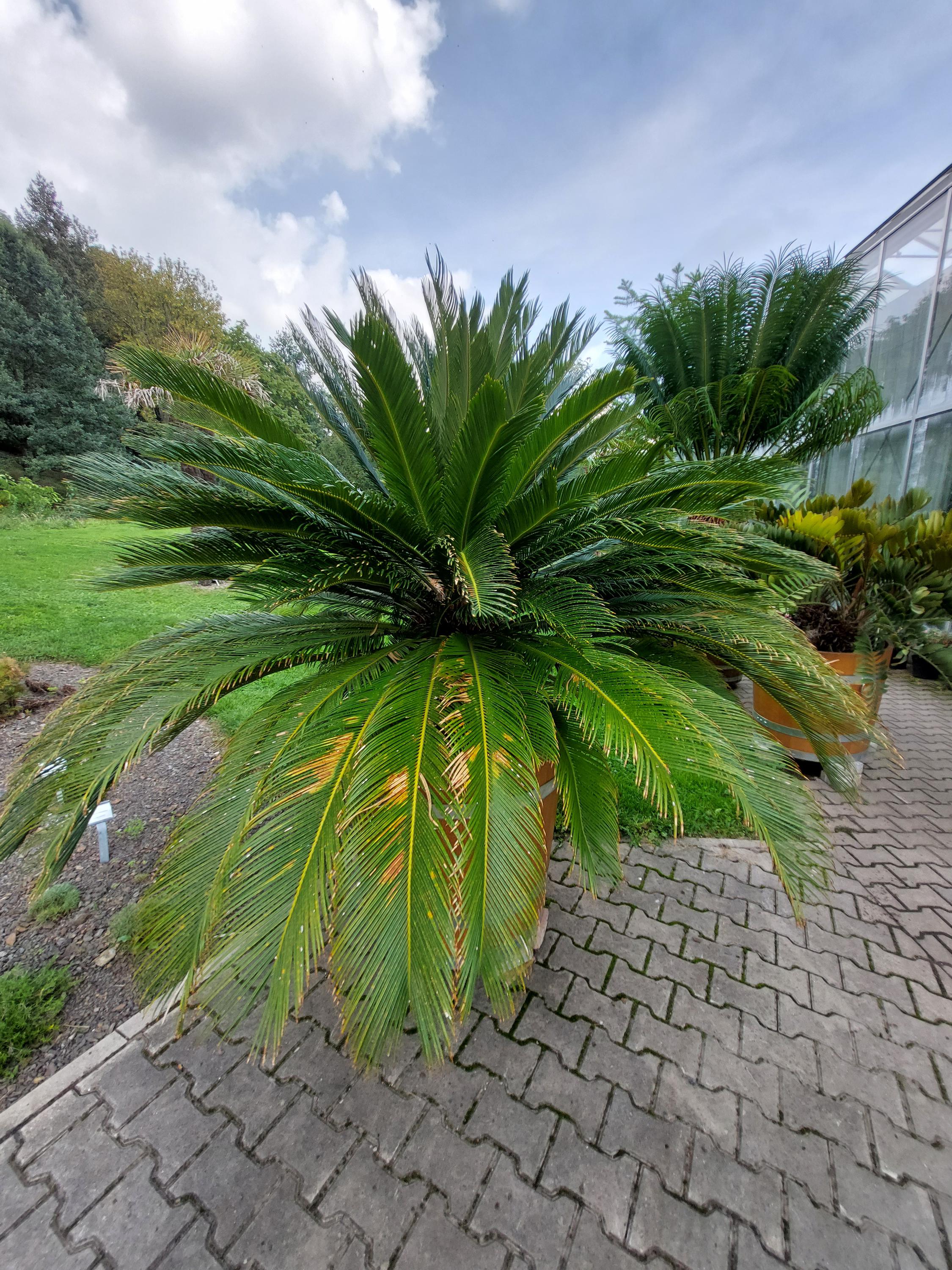 Střední odborná škola Jarov foto 6