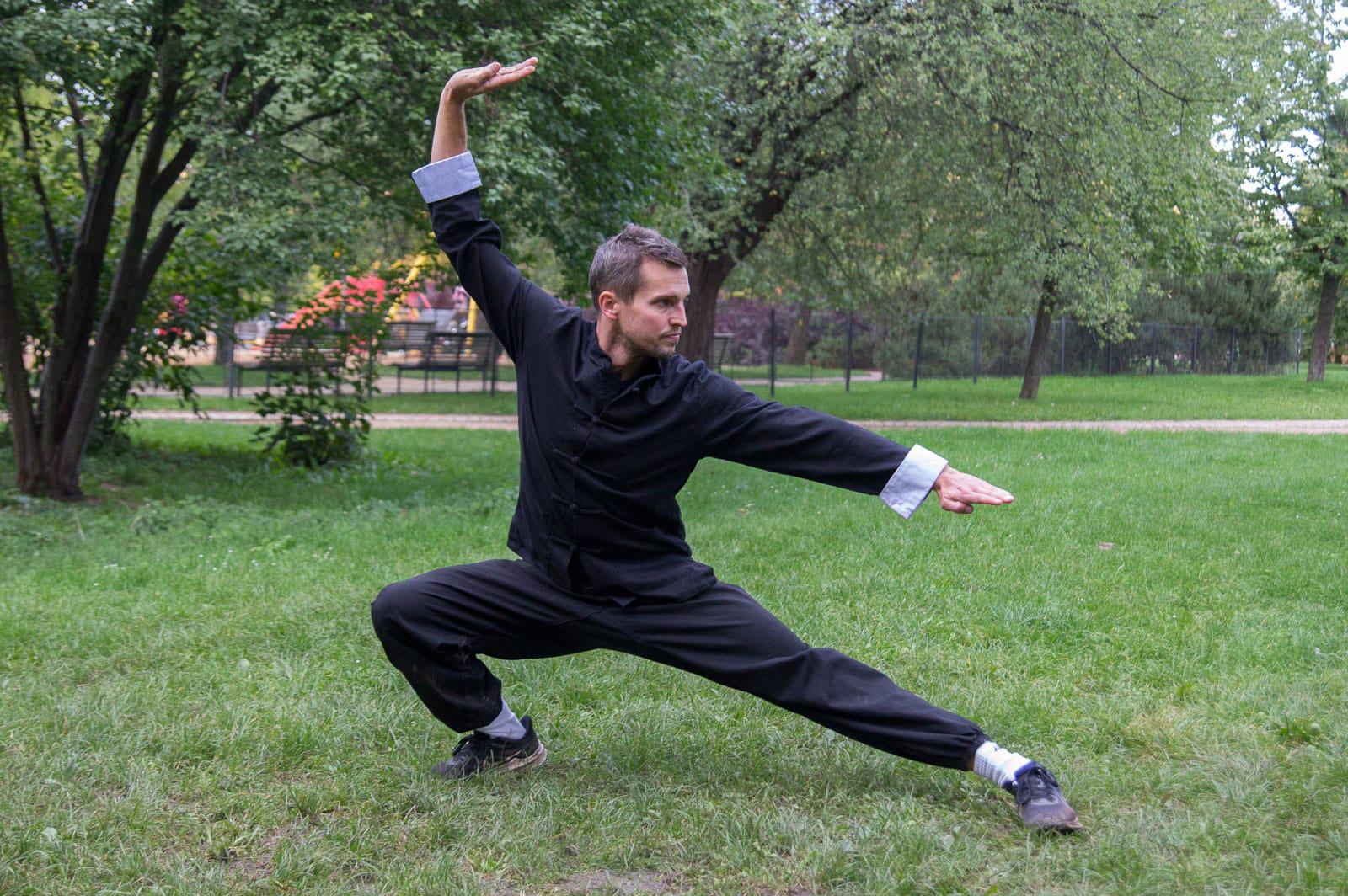 Taiji Bagua Devíti paláců