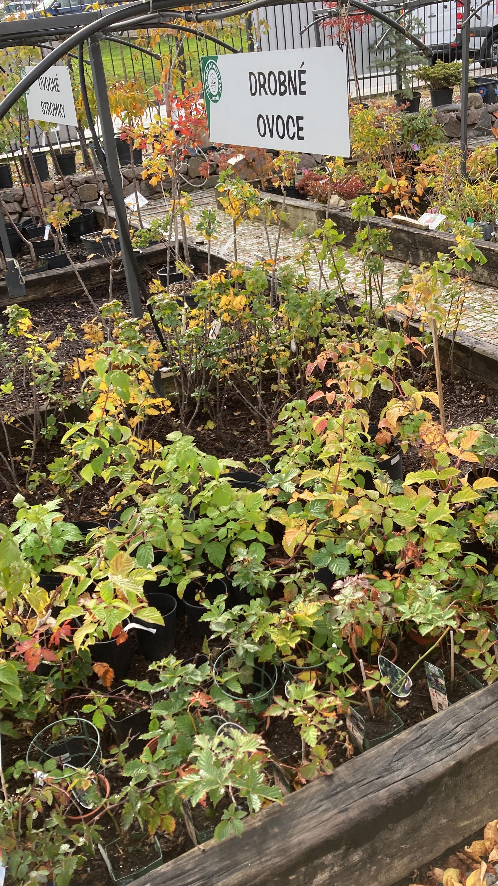 Krtkovo zahradnictví, s.r.o. foto 3