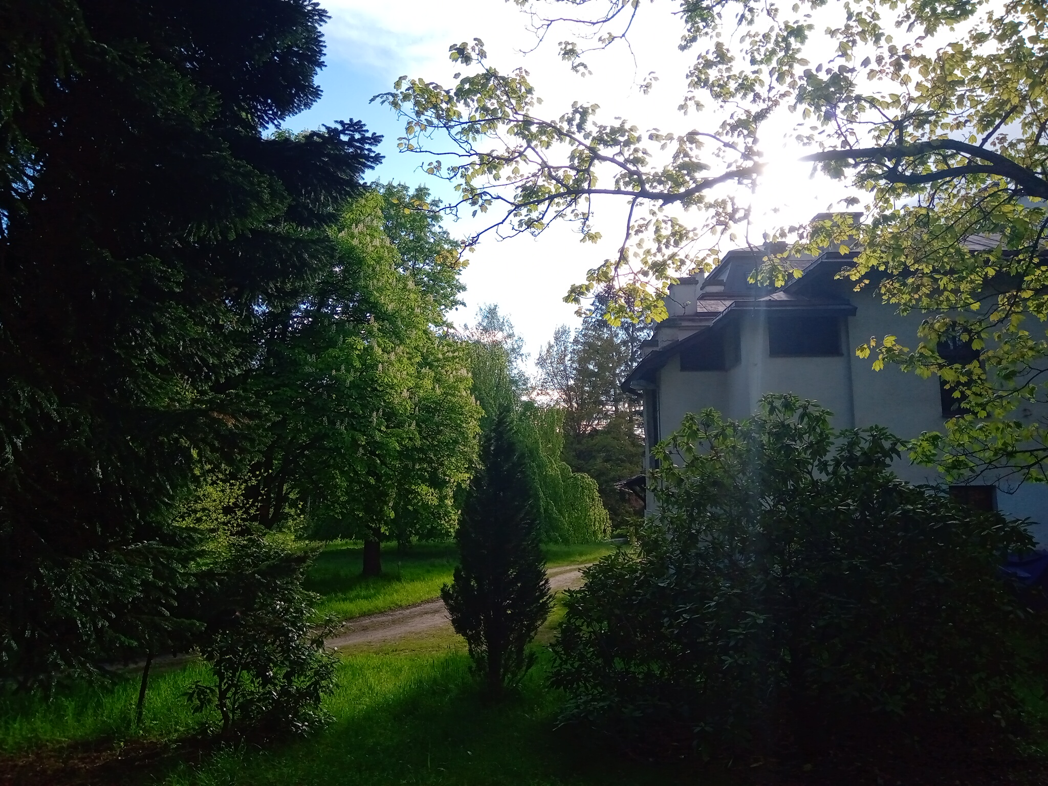 Sklenářka foto 3