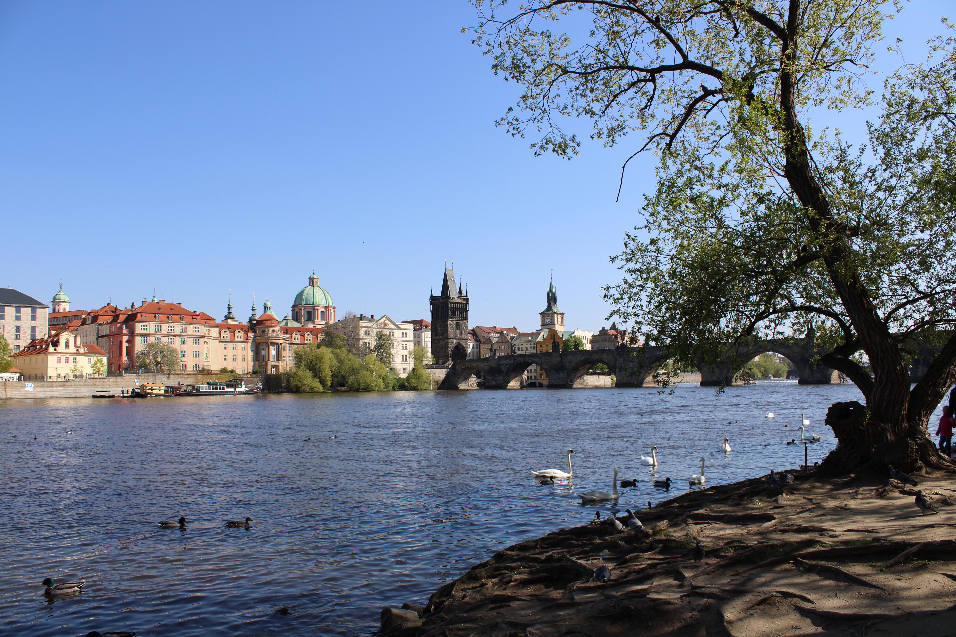 AK JUDr. Michaela Pechová Vosátková