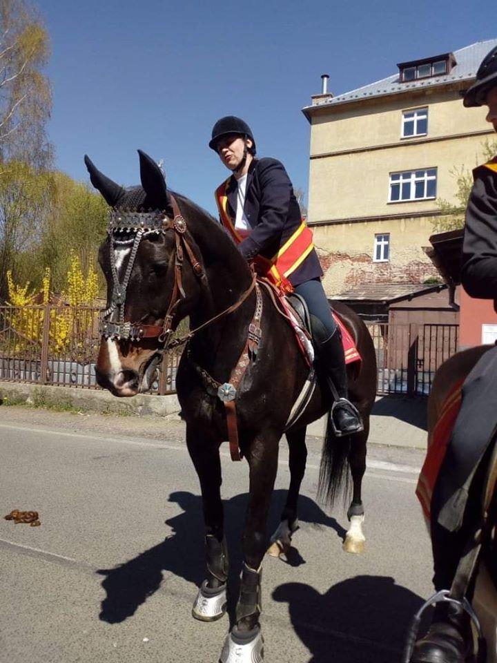 Jízdy na koni Mikulášovice foto 3