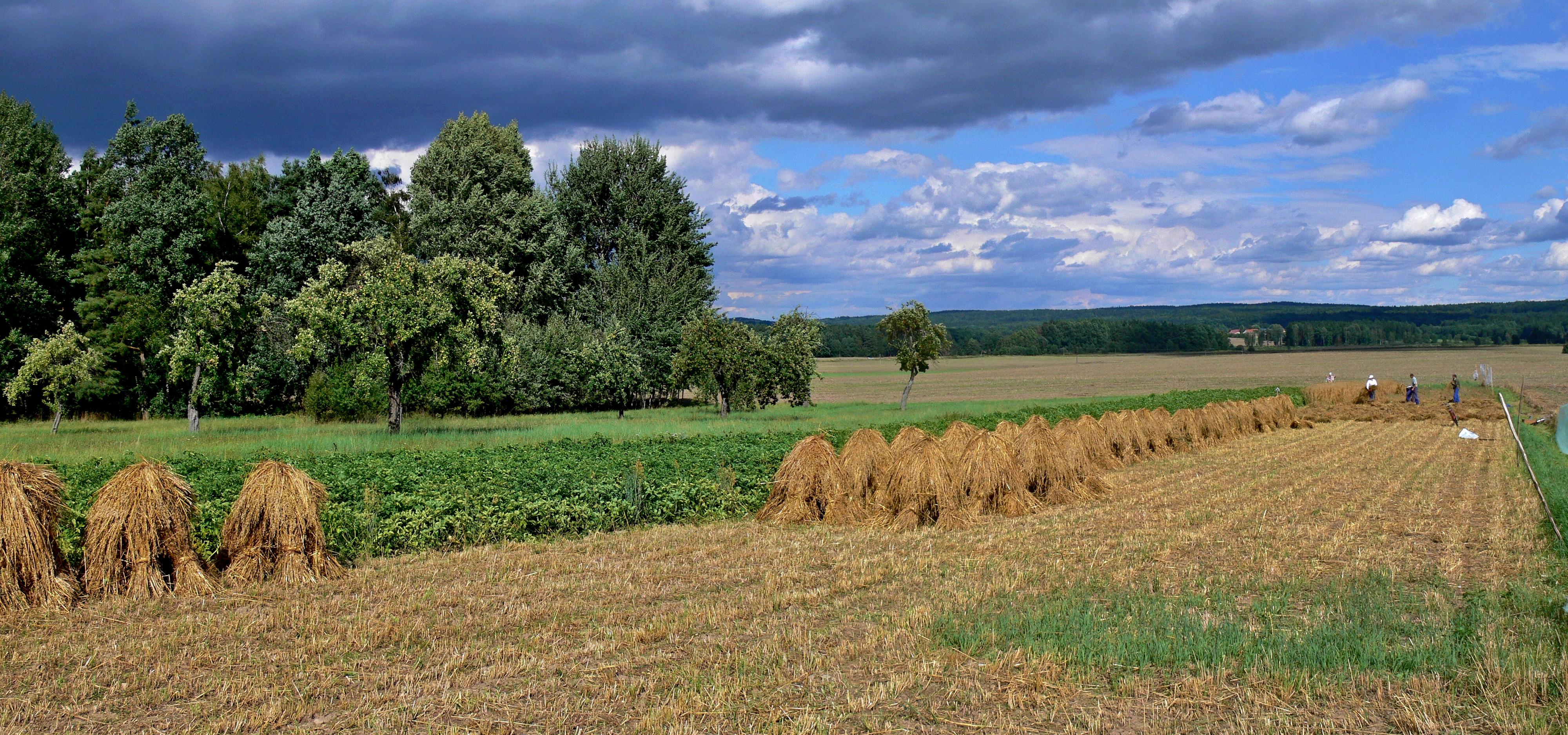 Penzion Příbrazský foto 6