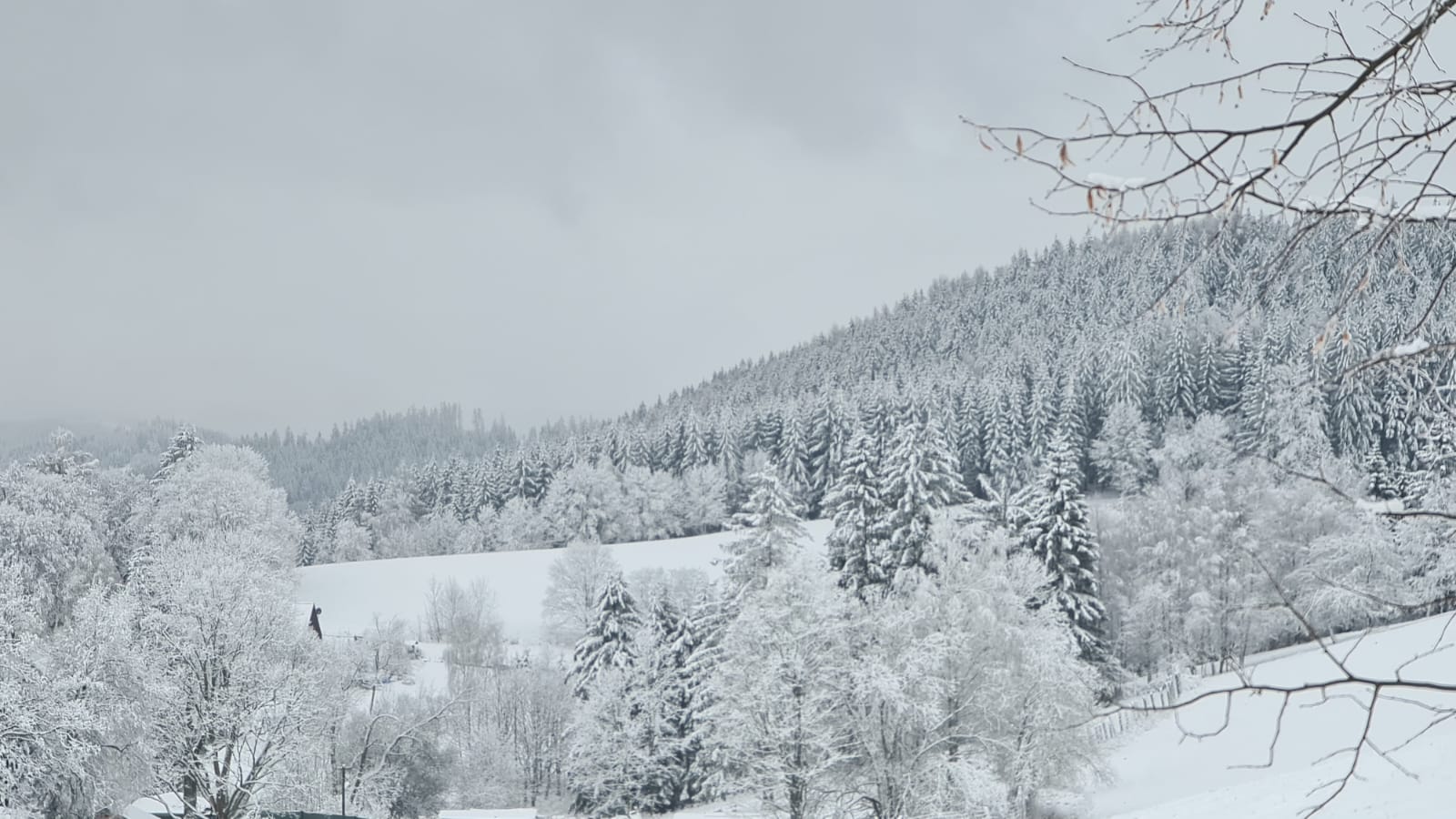 Stará Škola Hedeč foto 4