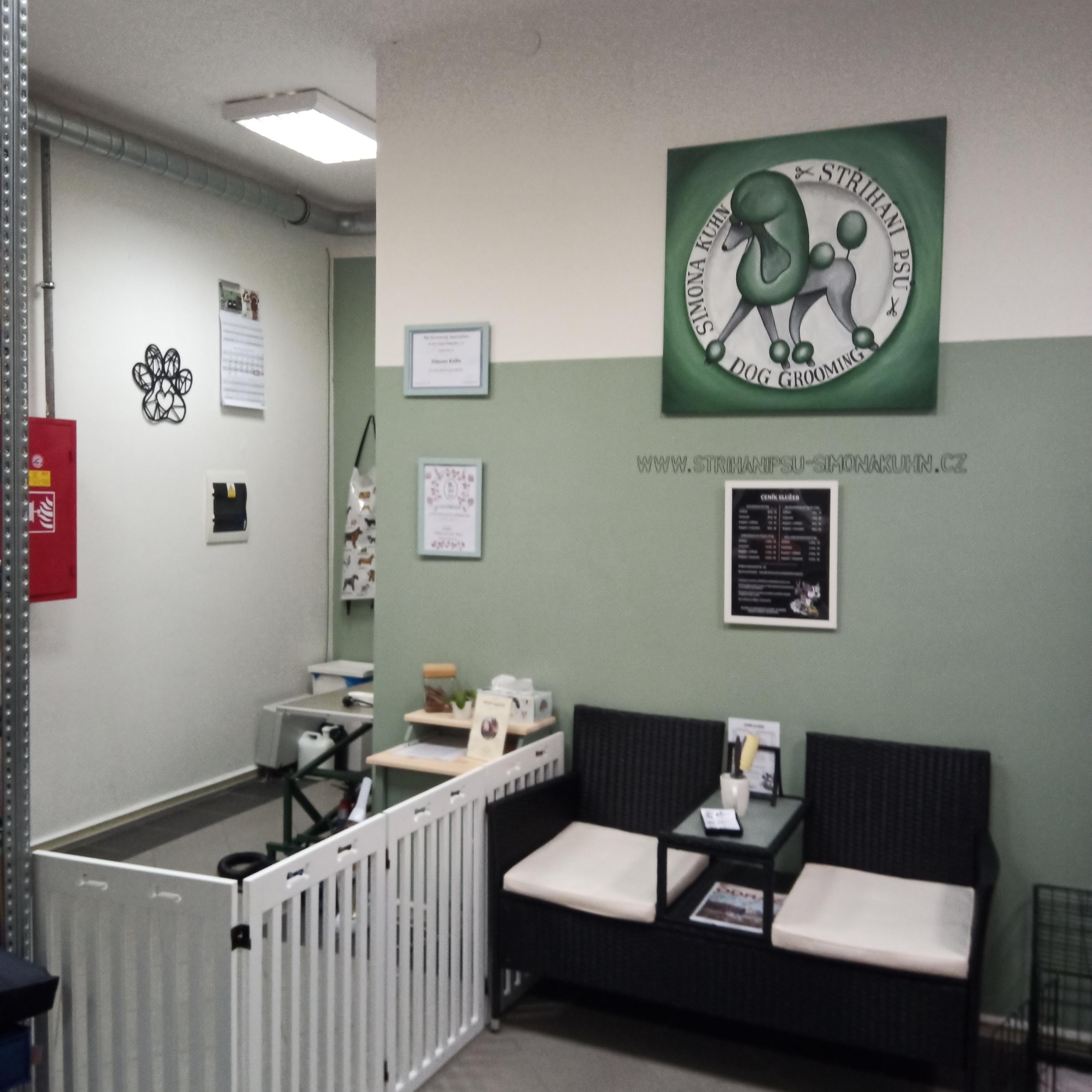 Péče o psy a kočky Simona Kuhn foto 2