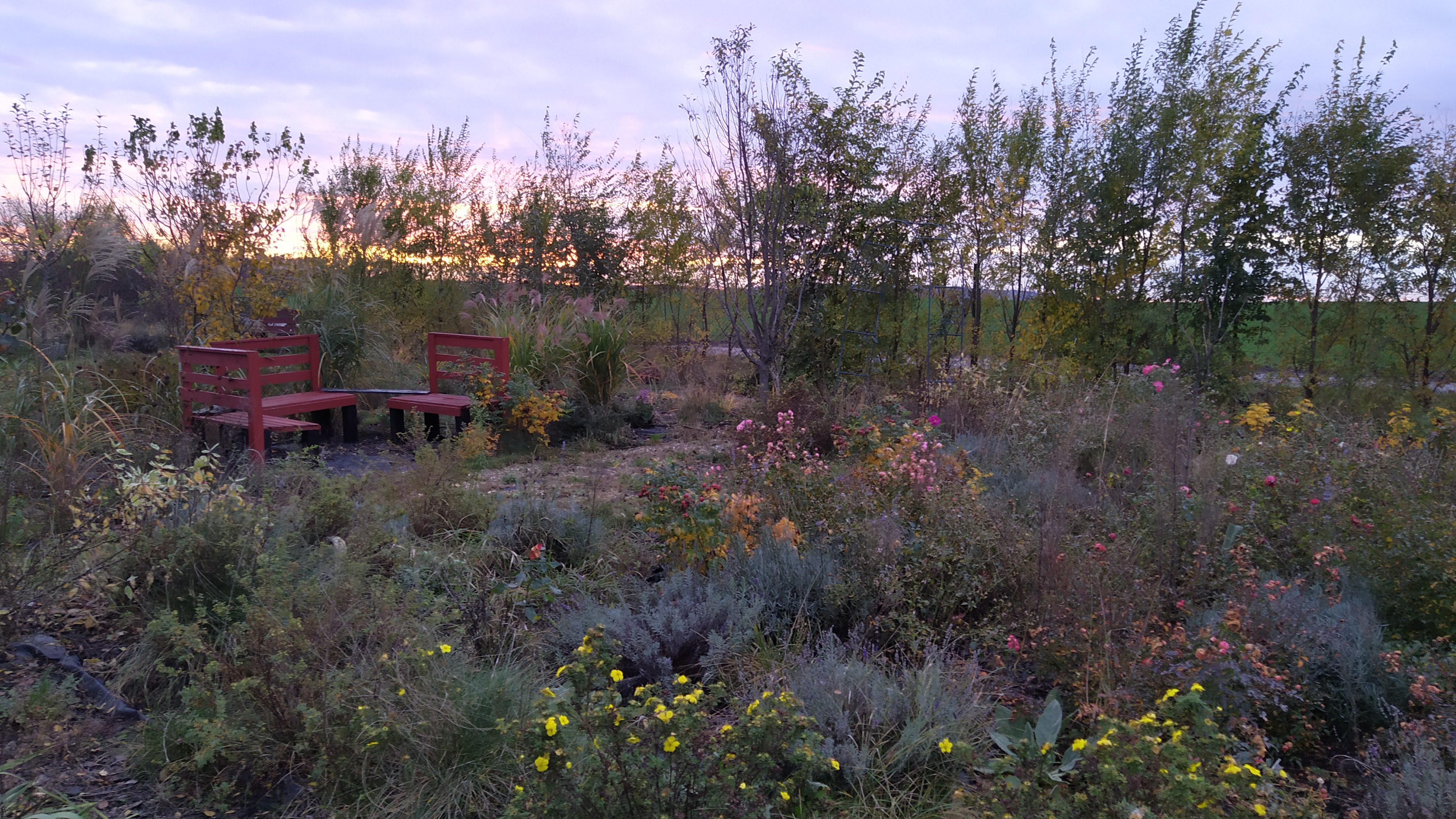 Návrhy a realizace zahrad Veronika Pokorná foto 4